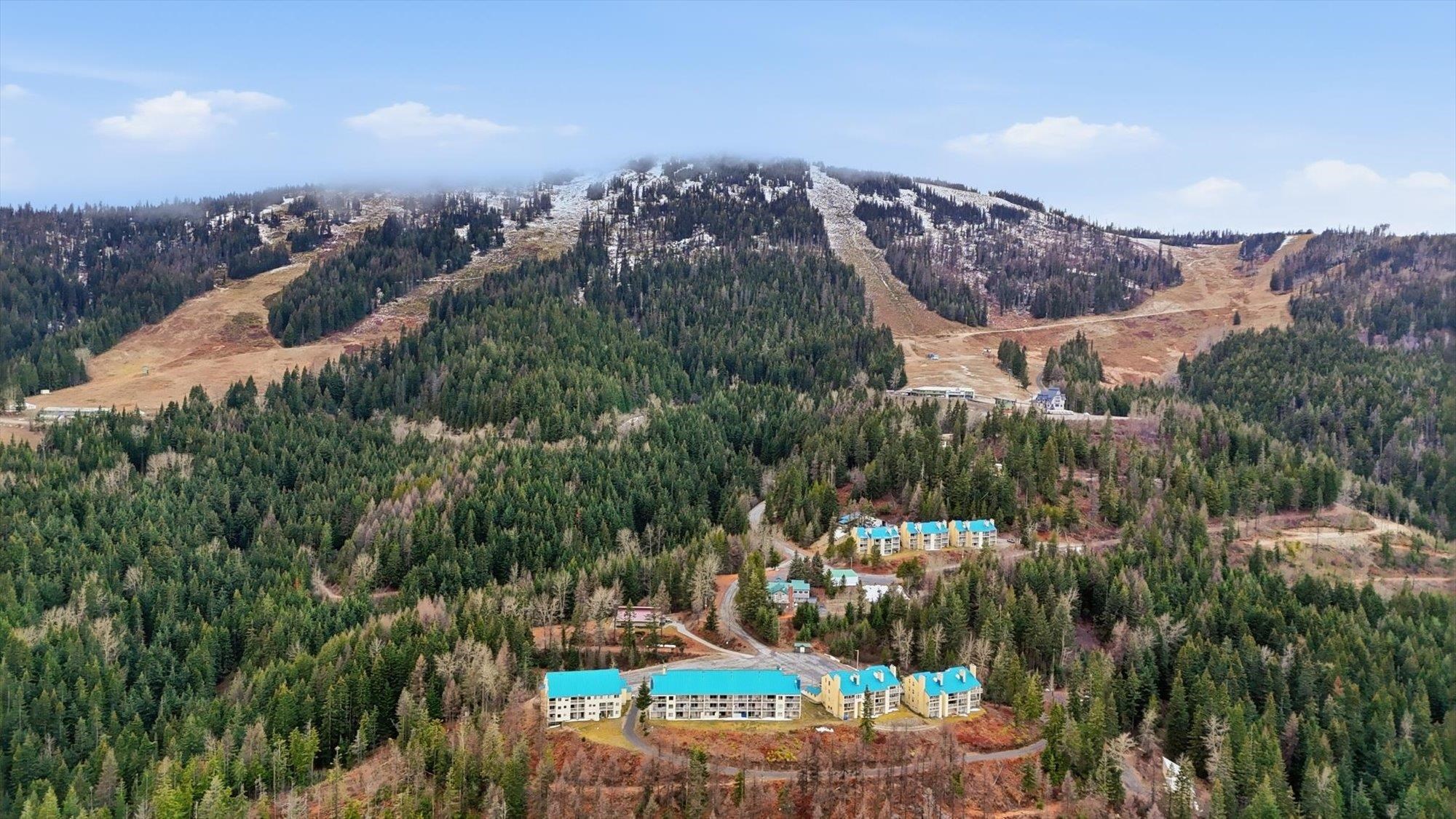 28600 N Mt Spokane Park Rd - Photo 42