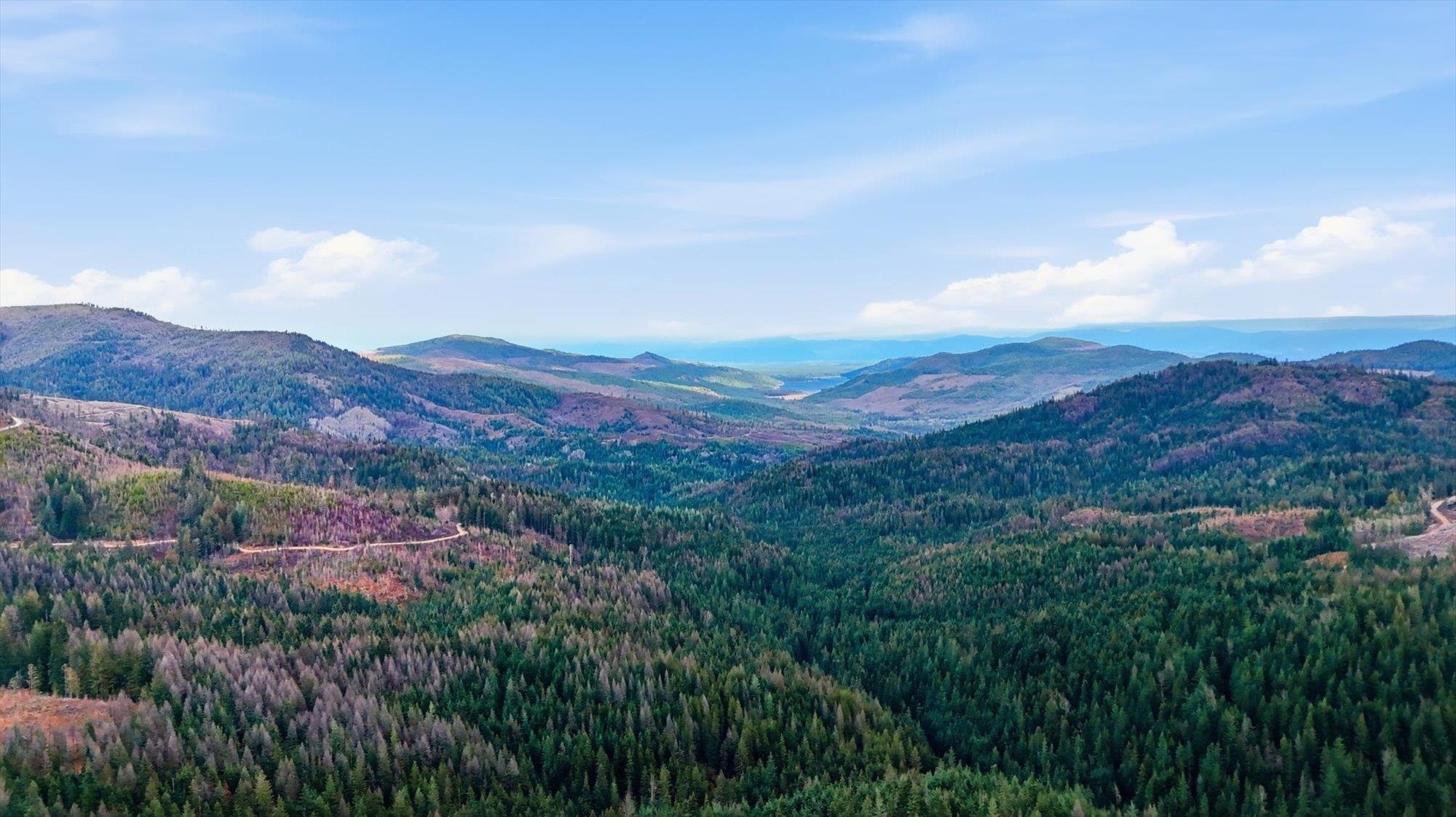 28600 N Mt Spokane Park Rd - Photo 43