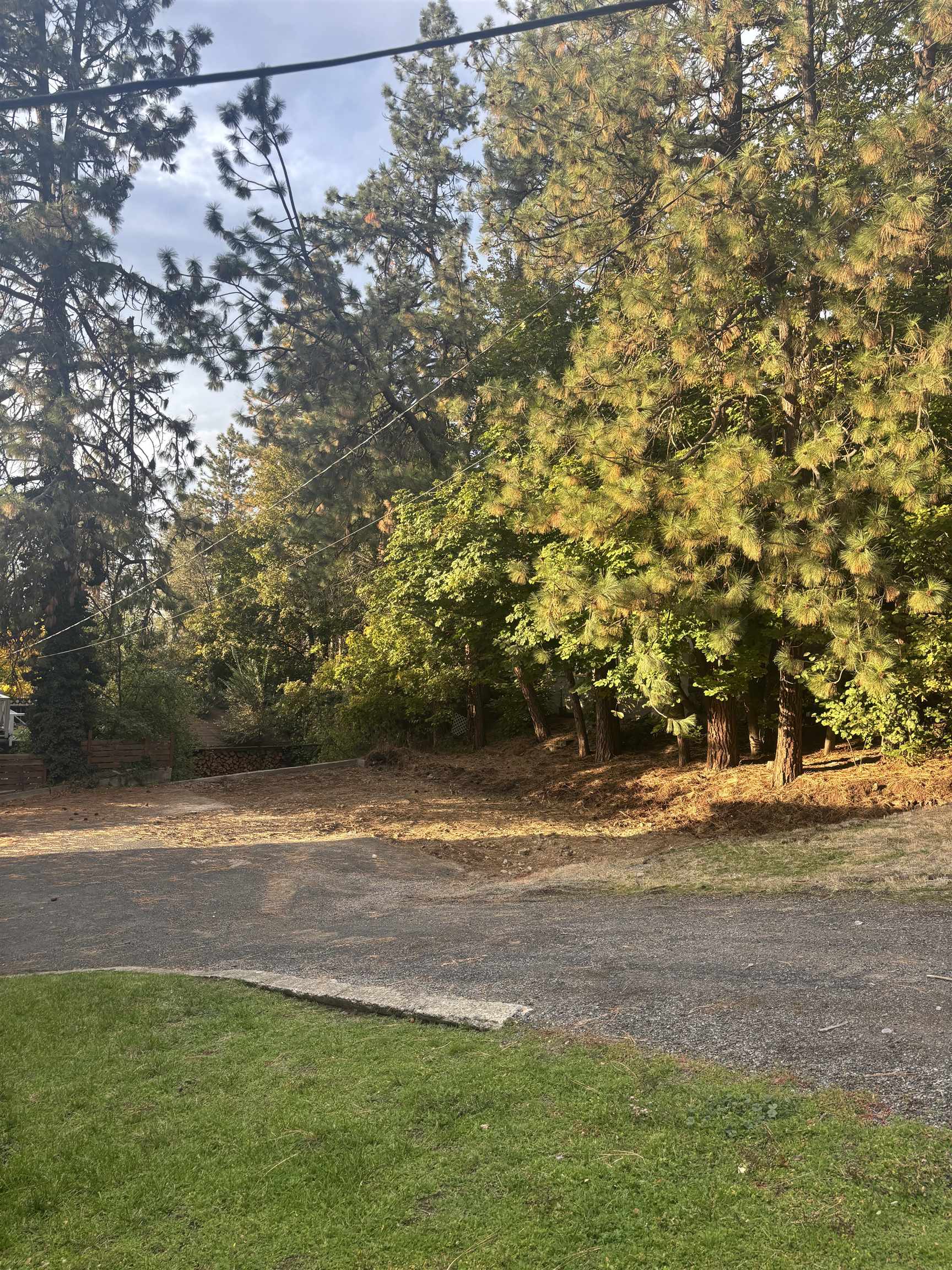 780 W Cliff Dr - Photo 3