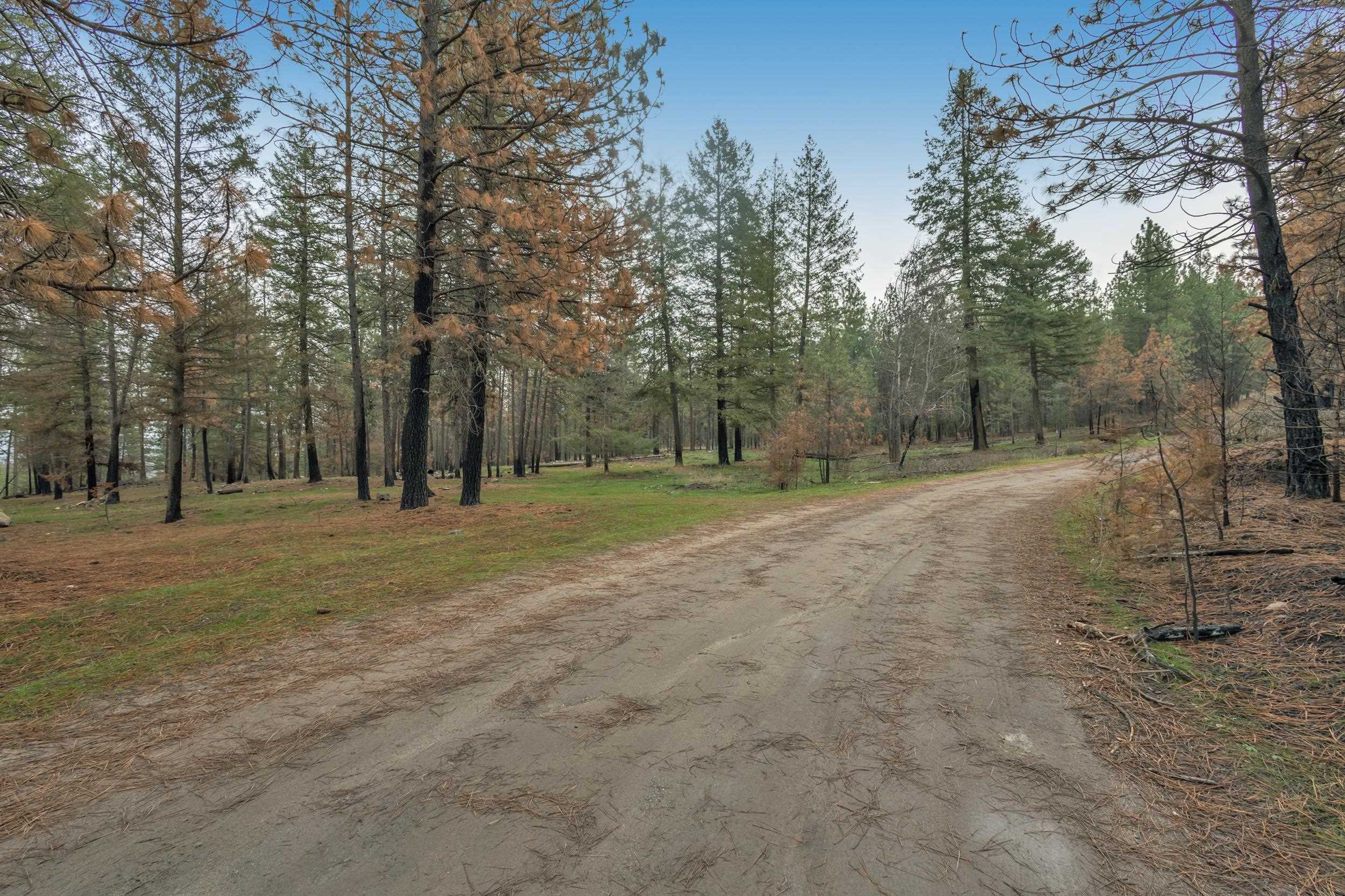 15817 Coyote Ridge Ln - Photo 3