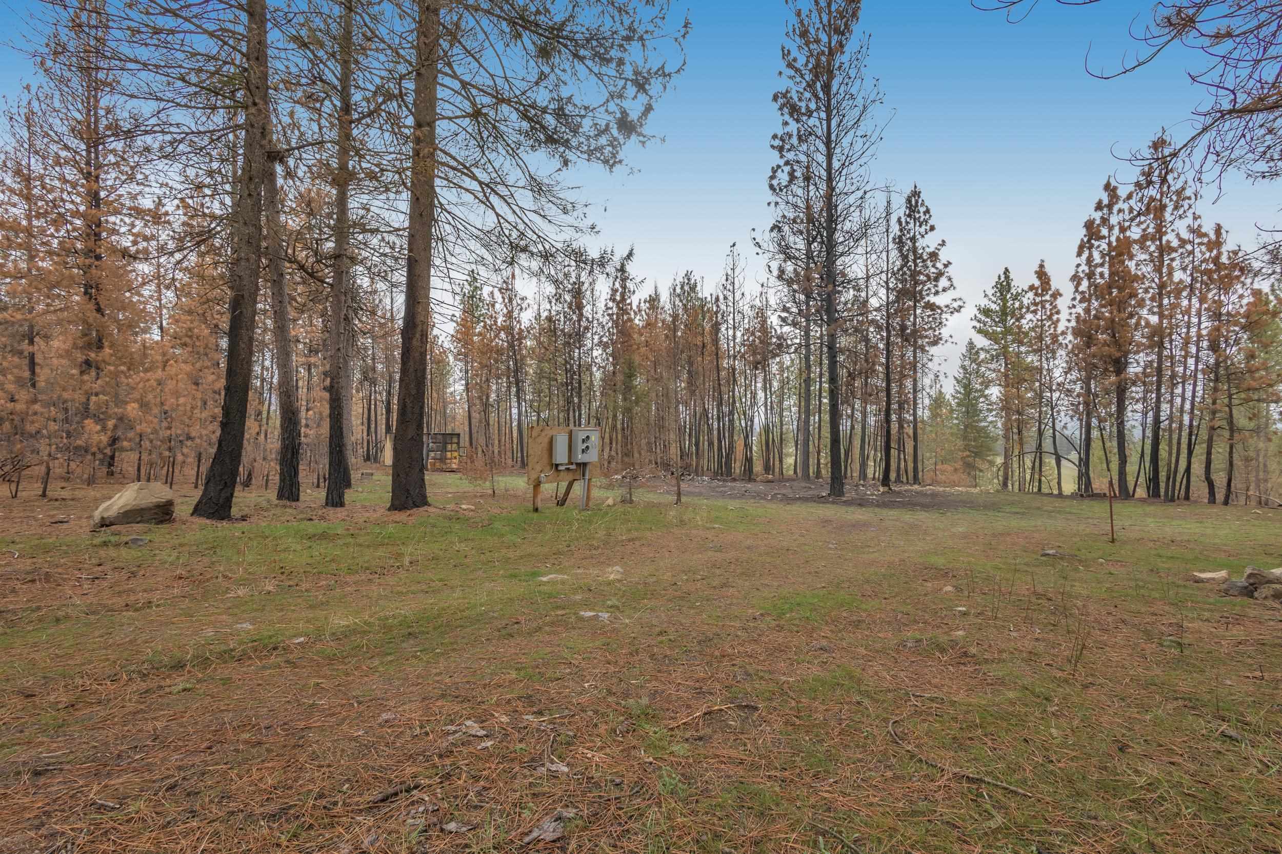 15817 Coyote Ridge Ln - Photo 4