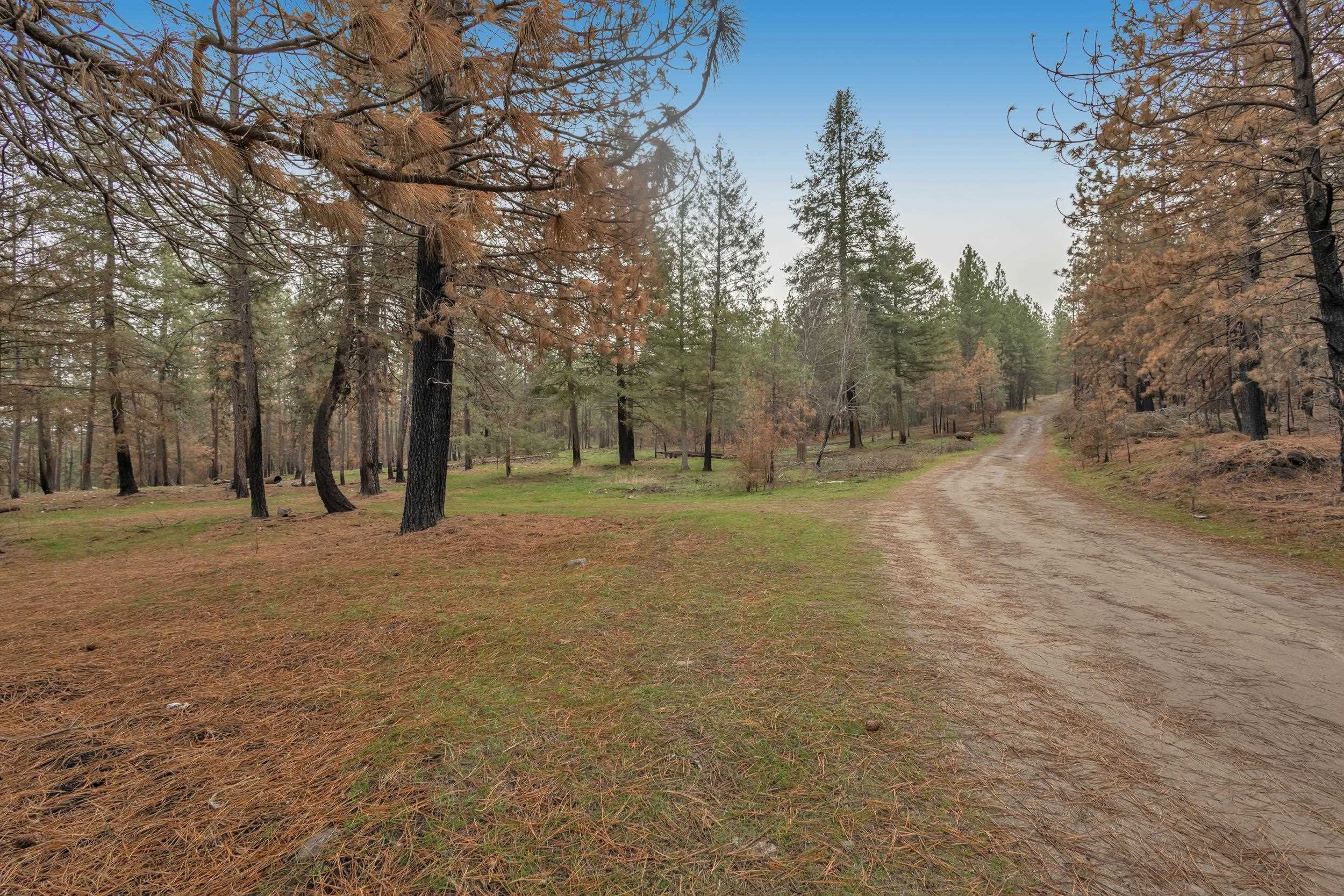 15817 Coyote Ridge Ln - Photo 5
