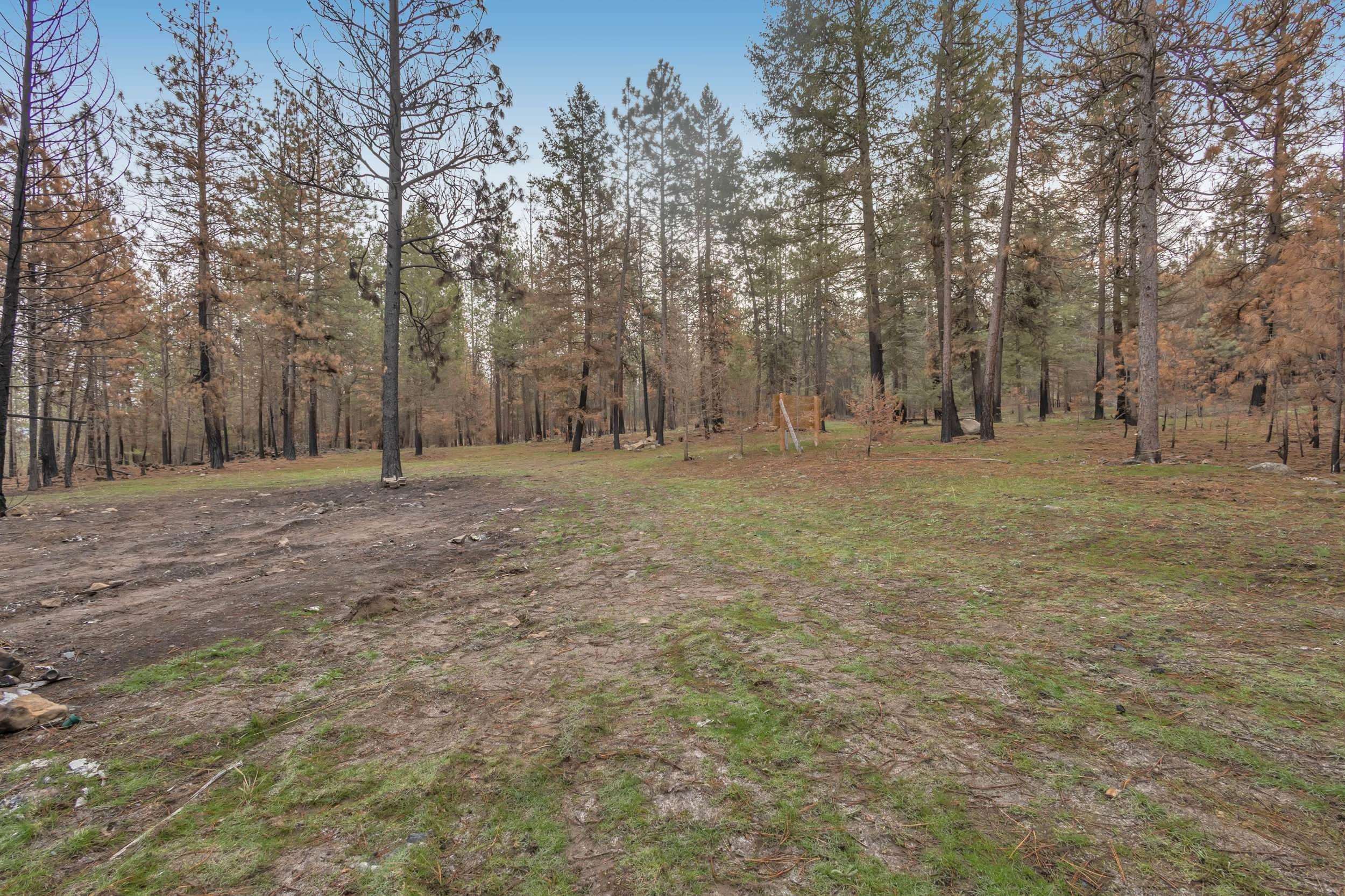 15817 Coyote Ridge Ln - Photo 6