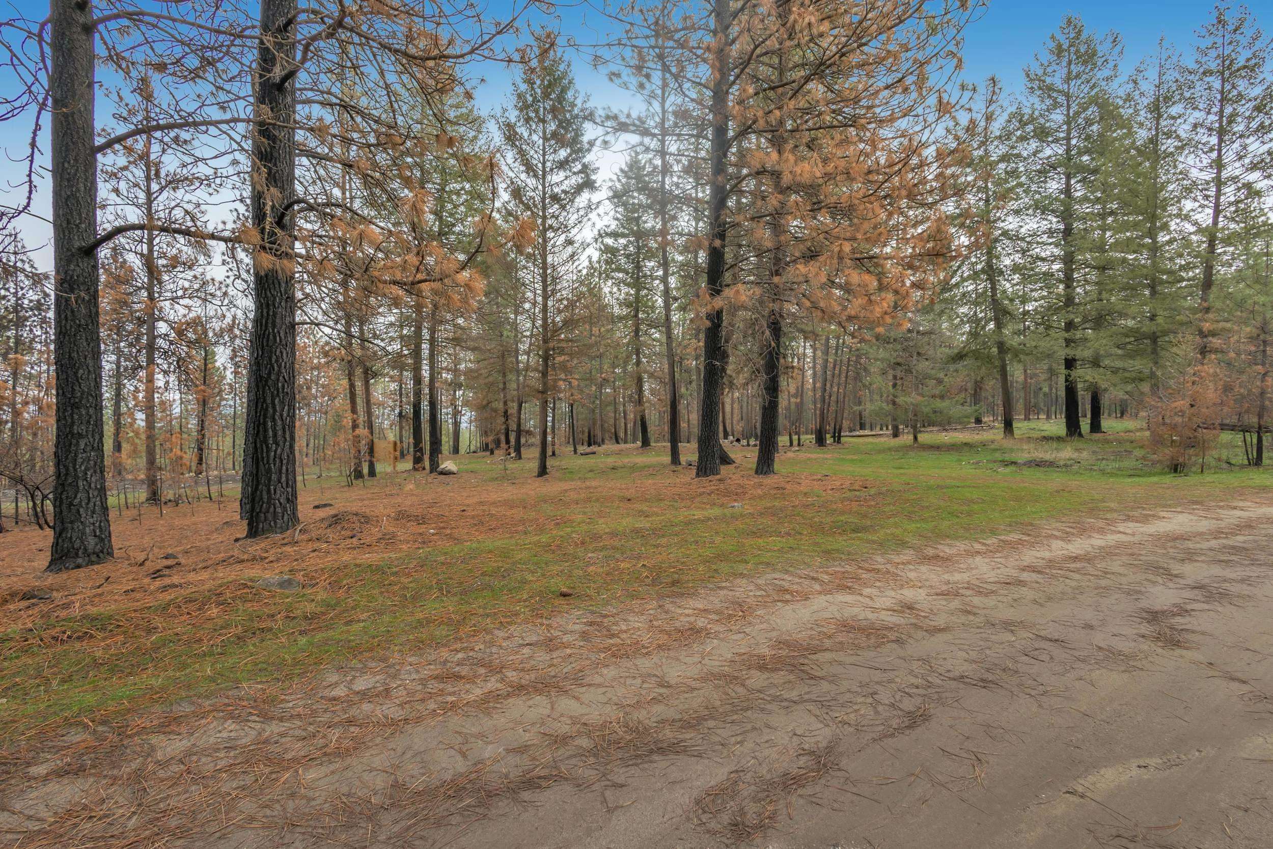 15817 Coyote Ridge Ln - Photo 7