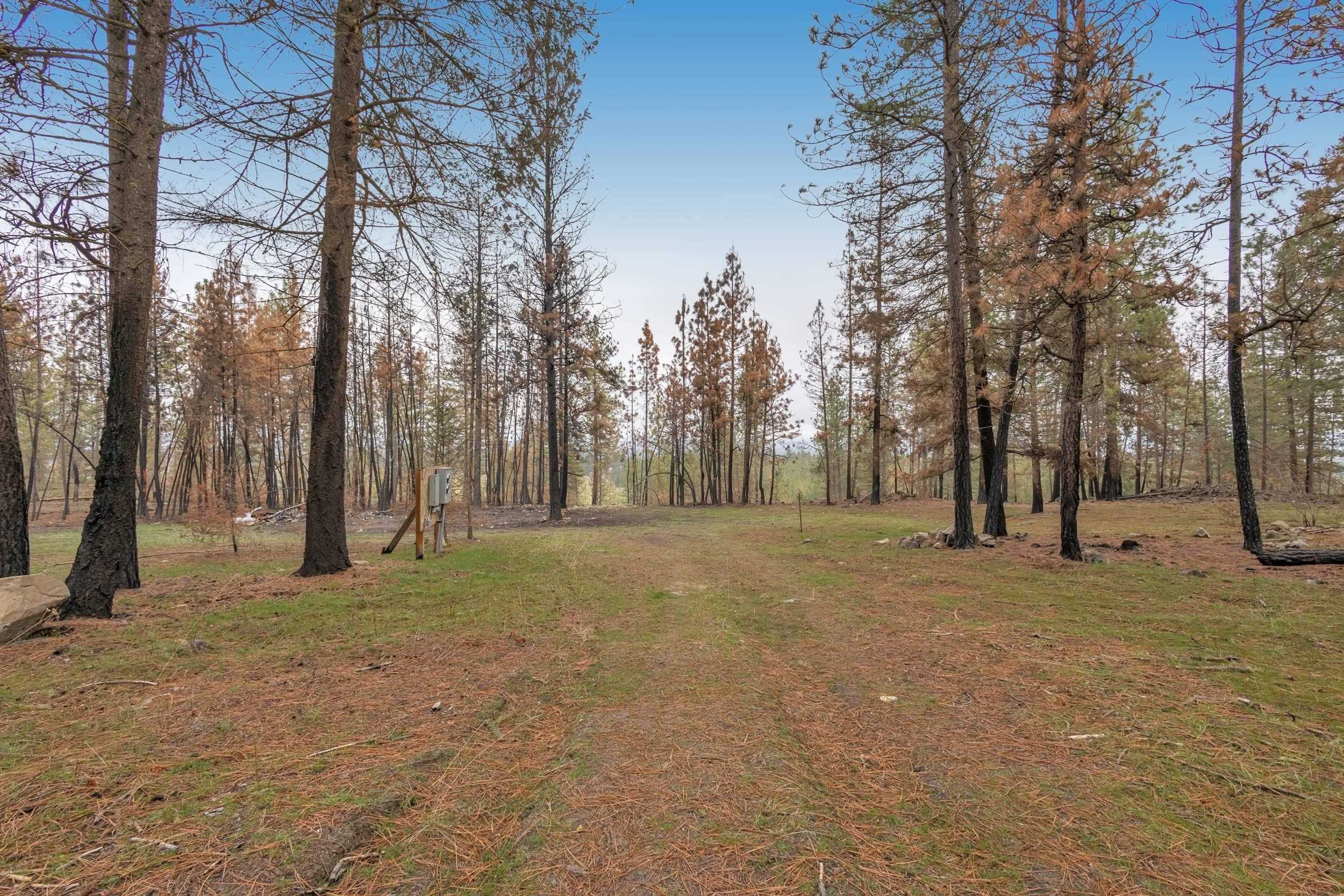 15817 Coyote Ridge Ln - Photo 8