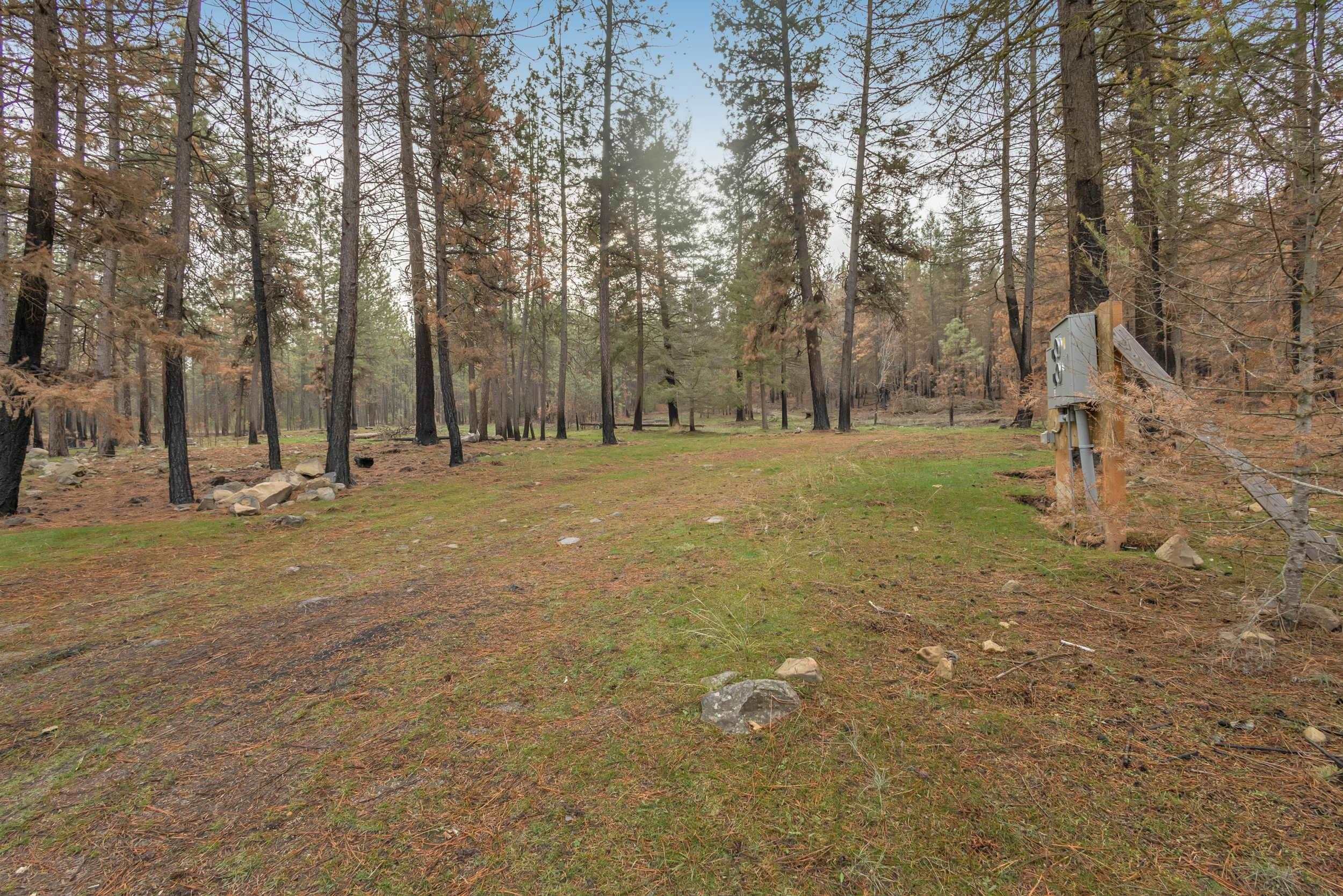 15817 Coyote Ridge Ln - Photo 9