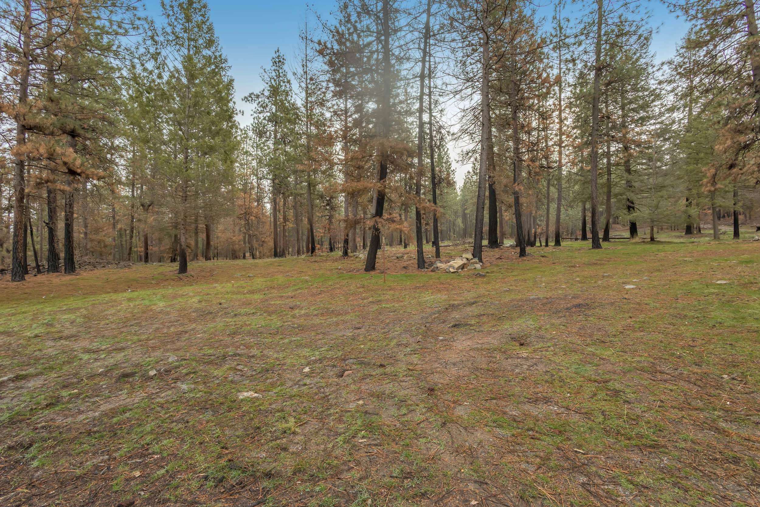 15817 Coyote Ridge Ln - Photo 10