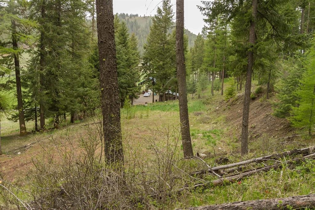 1053 Haller Creek Rd - Photo 12