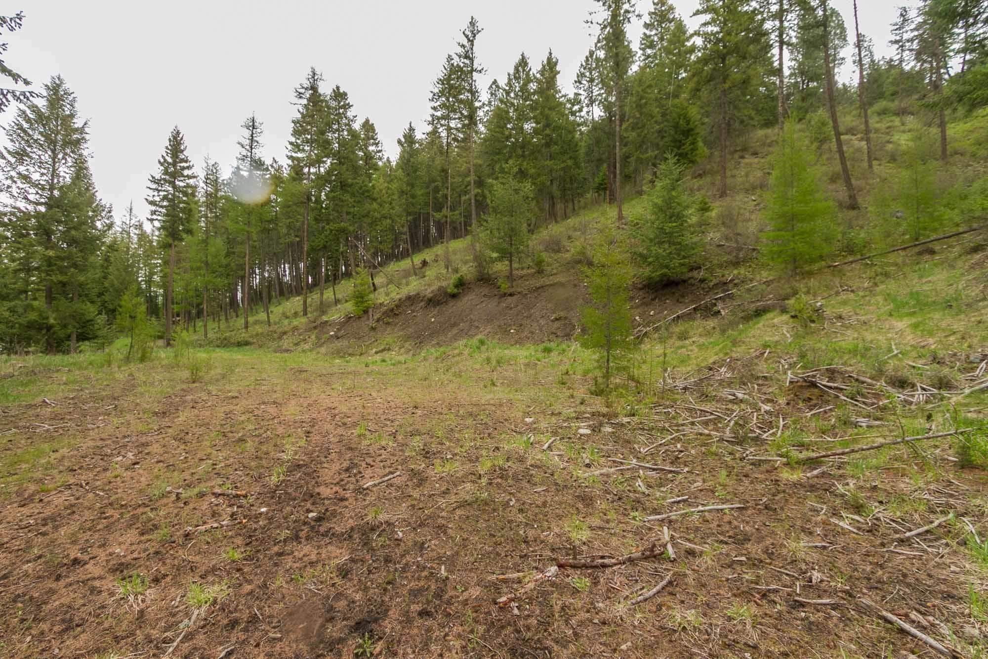 1053 Haller Creek Rd - Photo 13