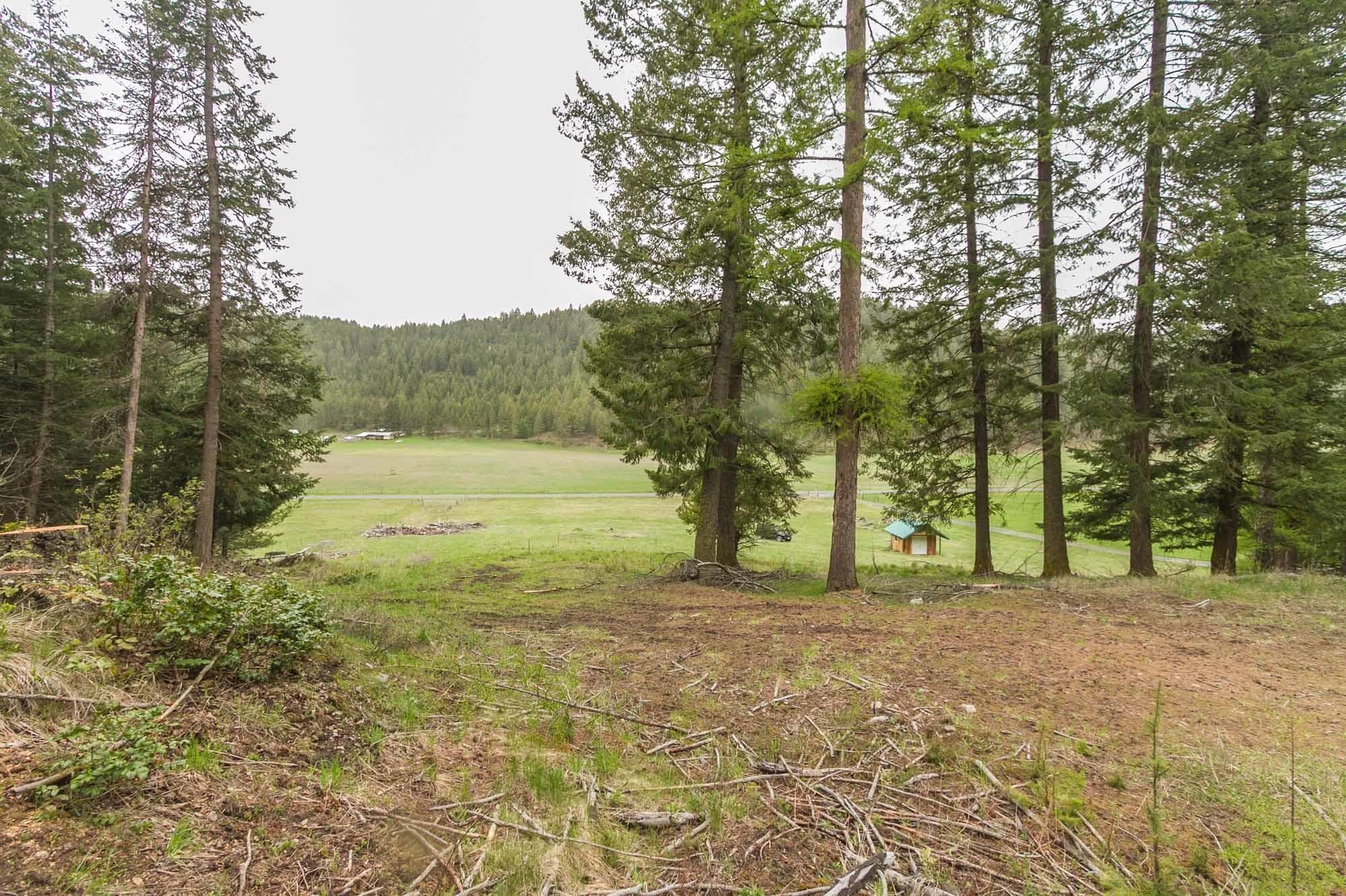 1053 Haller Creek Rd - Photo 14