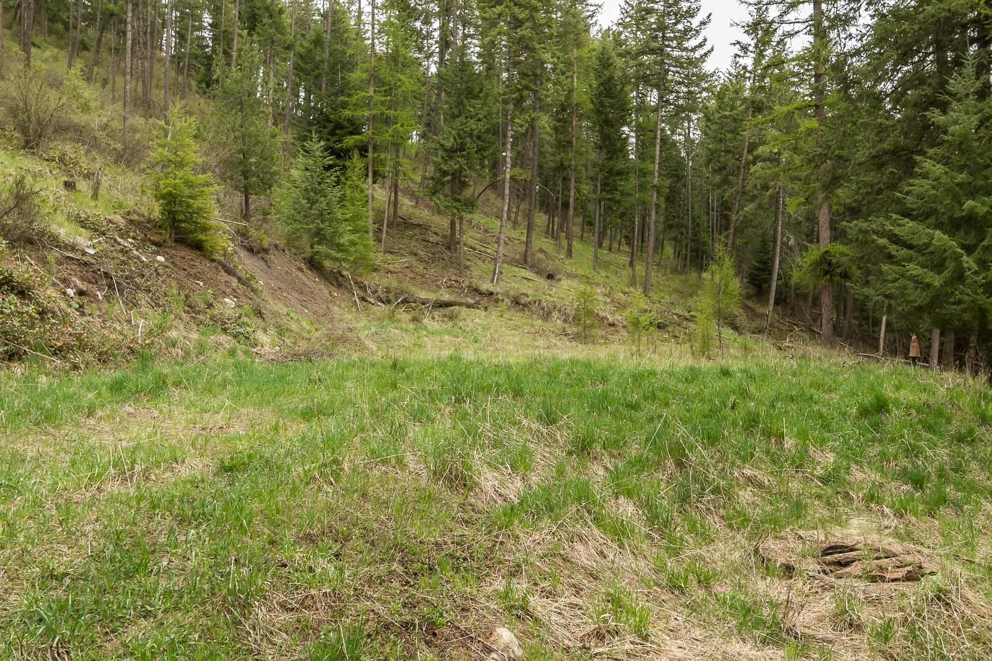 1053 Haller Creek Rd - Photo 8