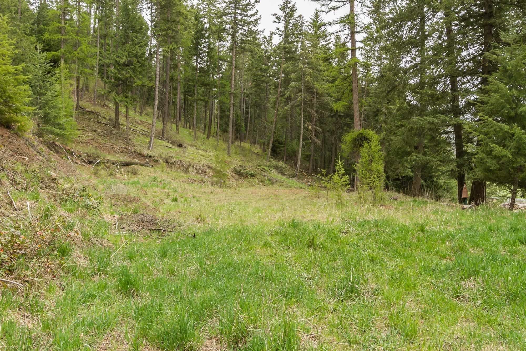 1053 Haller Creek Rd - Photo 9