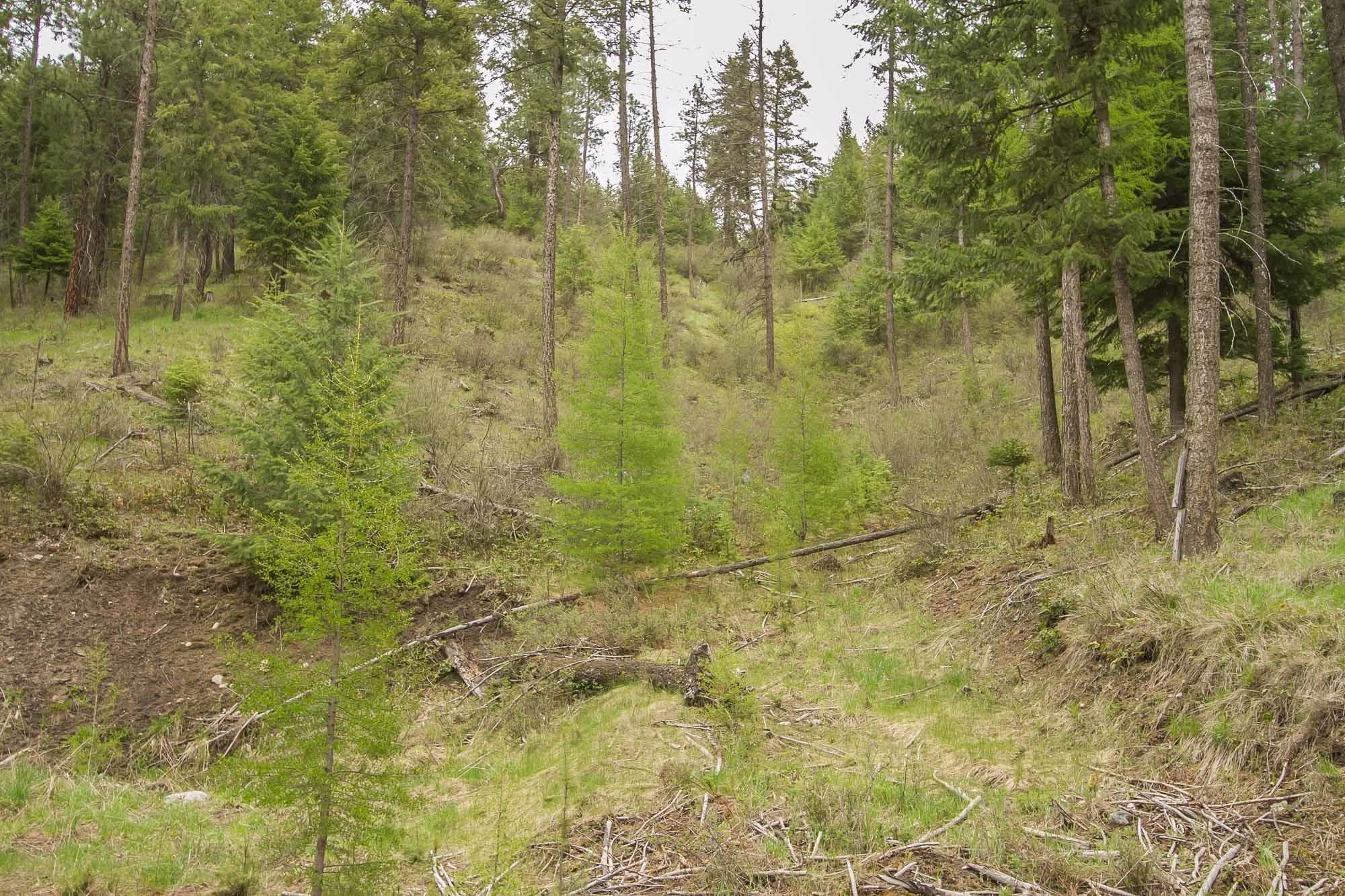 1053 Haller Creek Rd - Photo 10