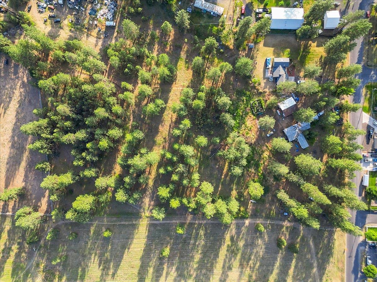 NNA Pinehurst Park Ave - Photo 3