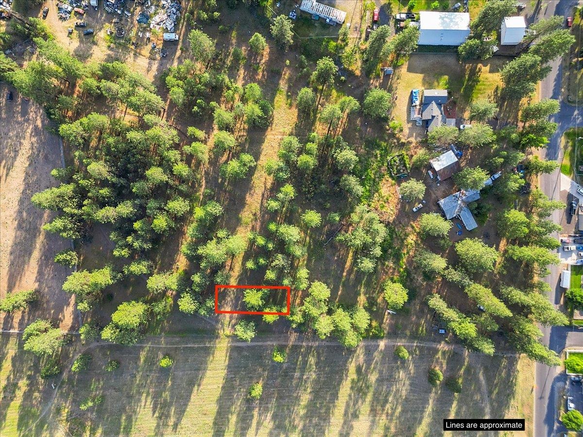 NNA Pinehurst Park Ave - Photo 10