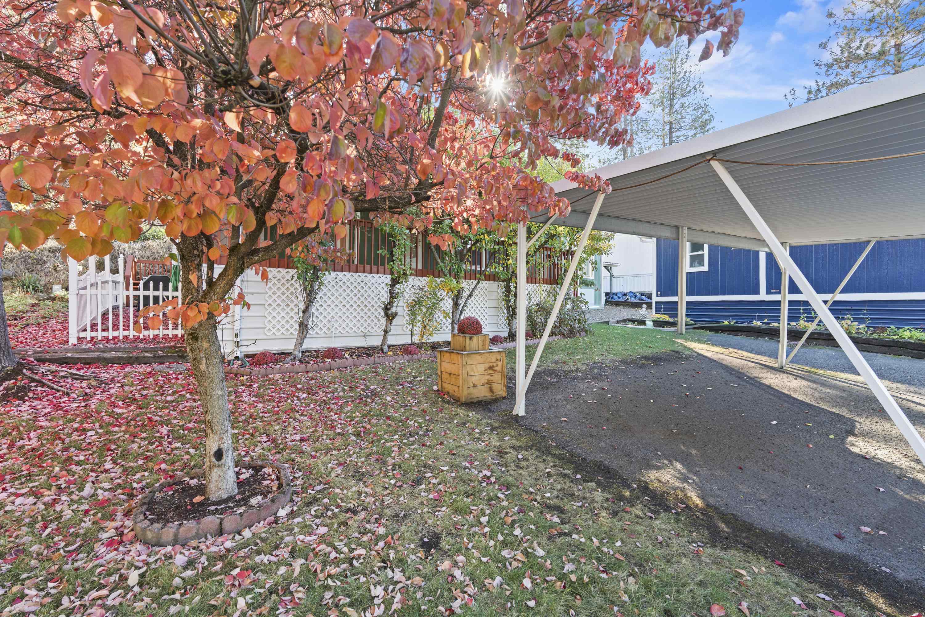 3231 W Boone Ave - Photo 25