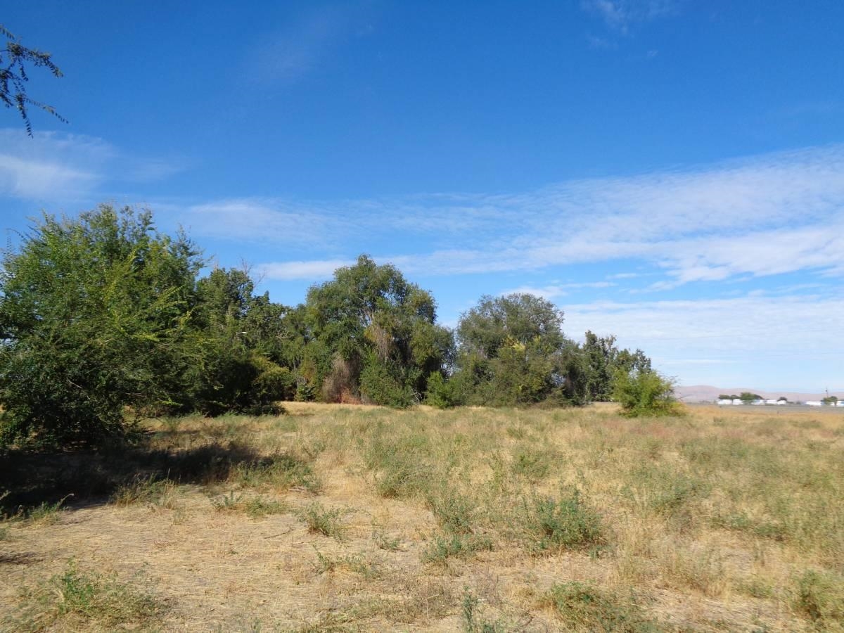 NNA Fort Rd - Photo 6