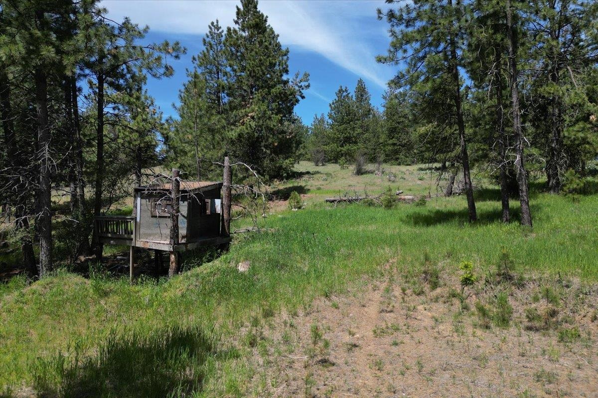 0 E Custer Ln - Photo 1