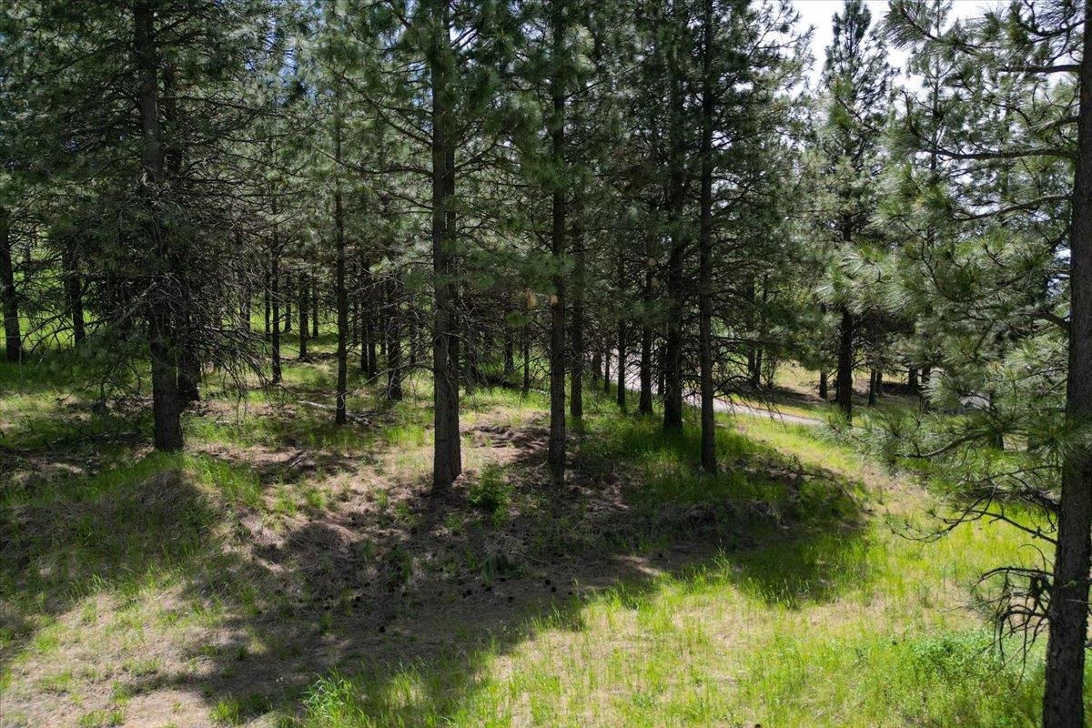 0 E Custer Ln - Photo 2