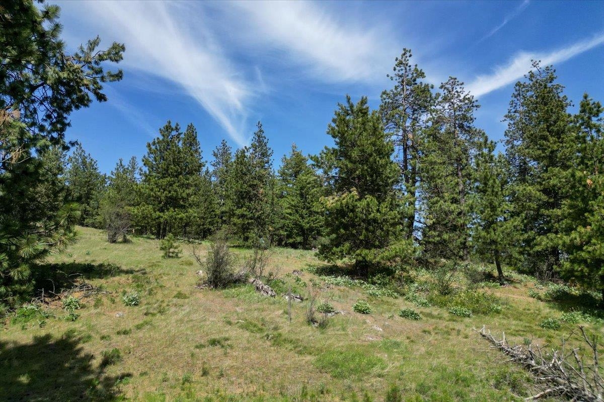 0 E Custer Ln - Photo 20