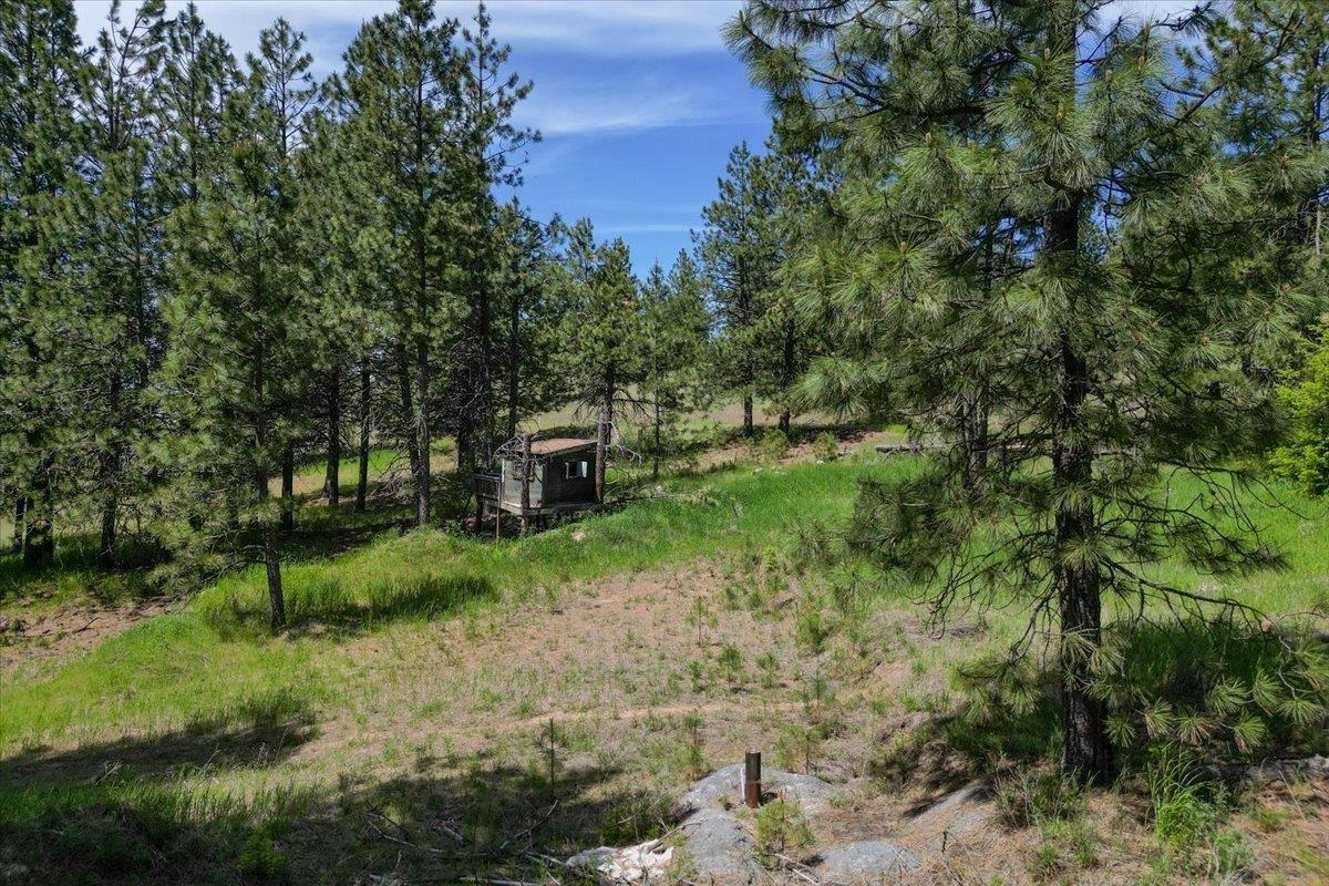 0 E Custer Ln - Photo 3