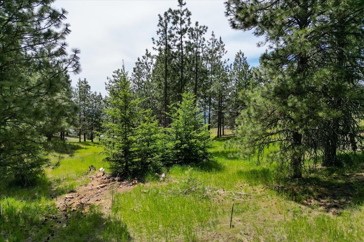 0 E Custer Ln - Photo 23