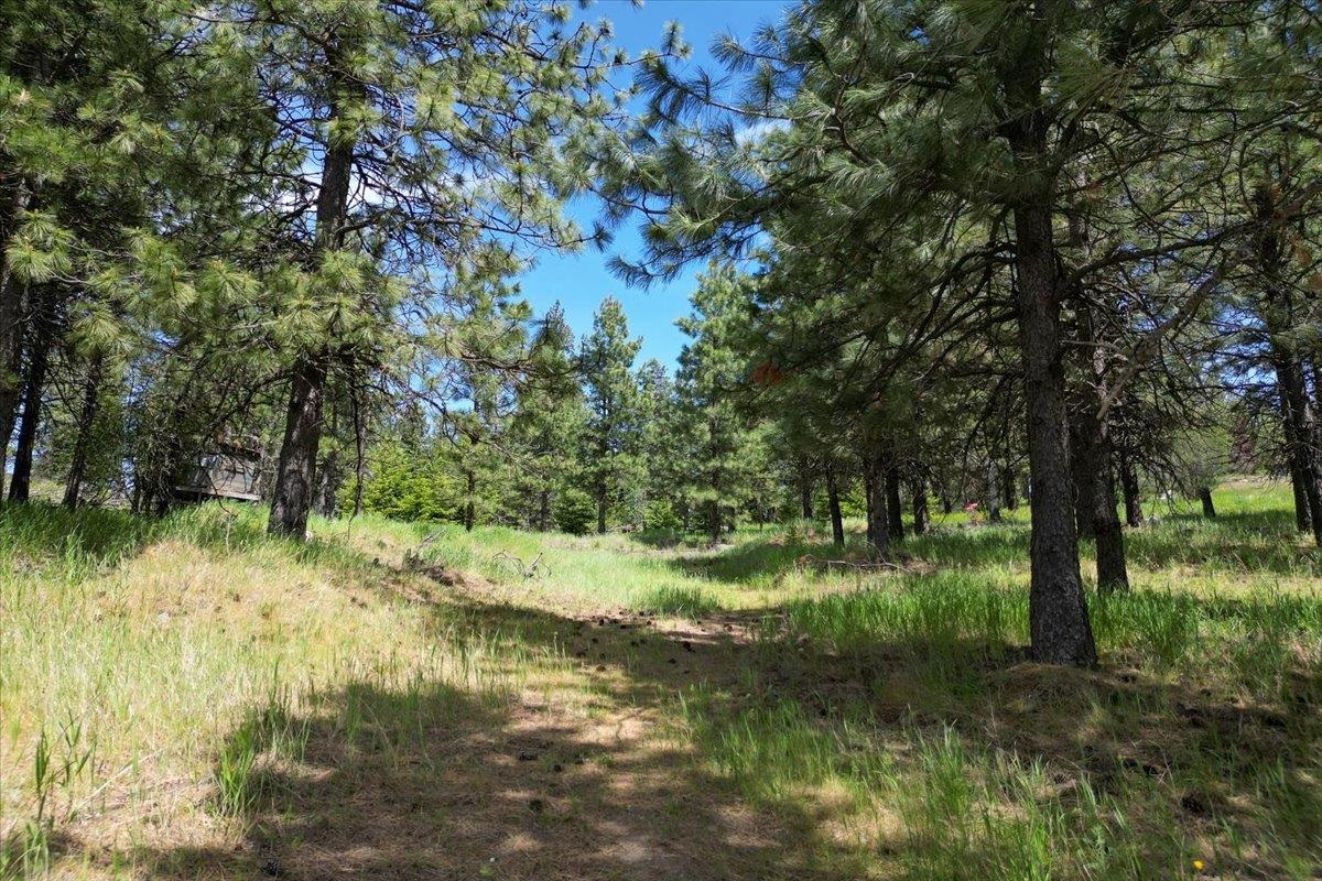 0 E Custer Ln - Photo 26