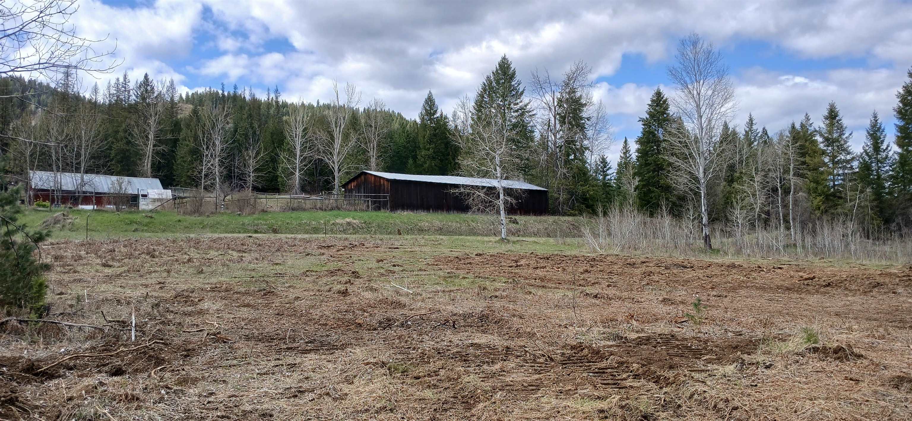 3832 Deep Lake Boundary Rd - Photo 13