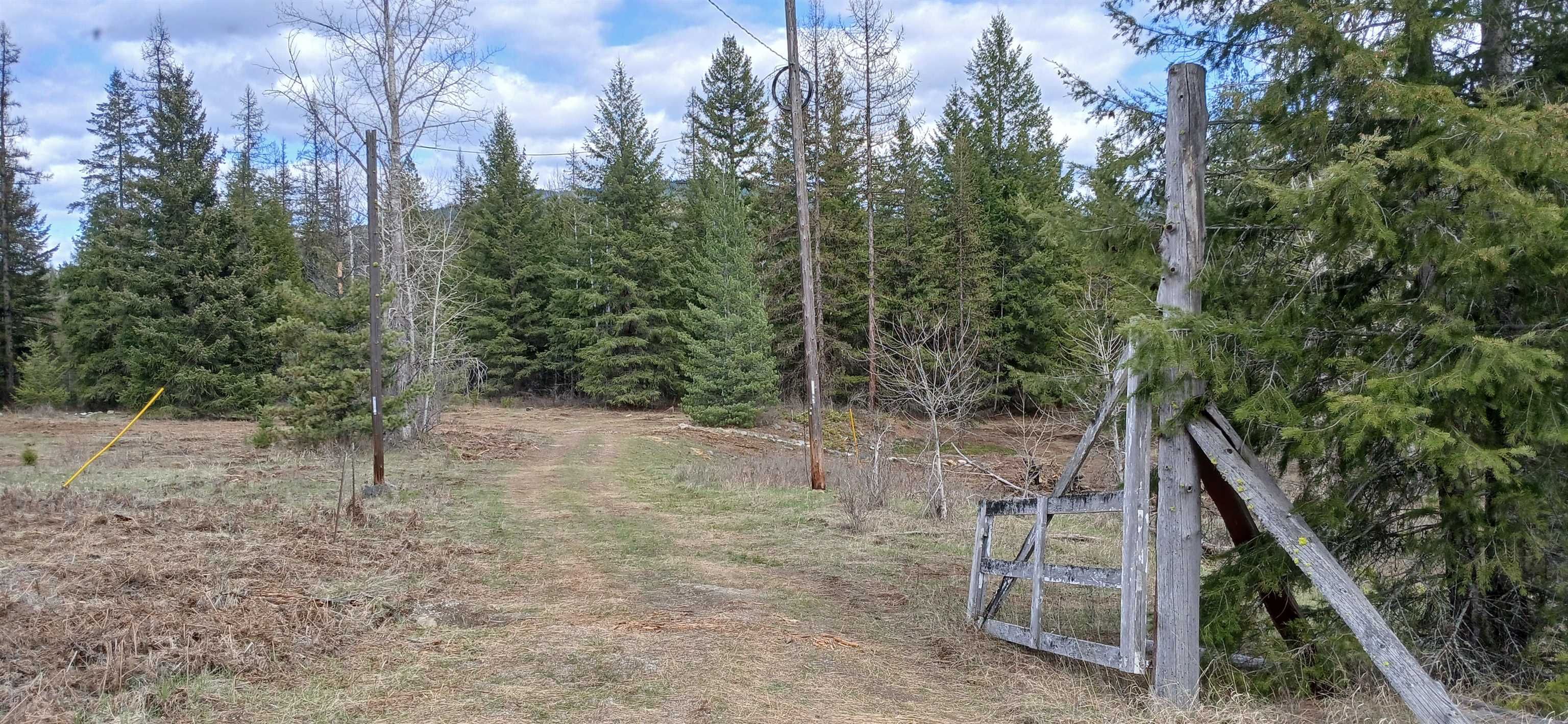 3832 Deep Lake Boundary Rd - Photo 3