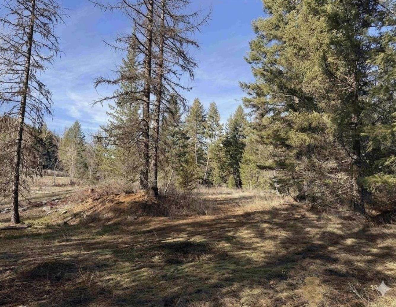 3832 Deep Lake Boundary Rd - Photo 25
