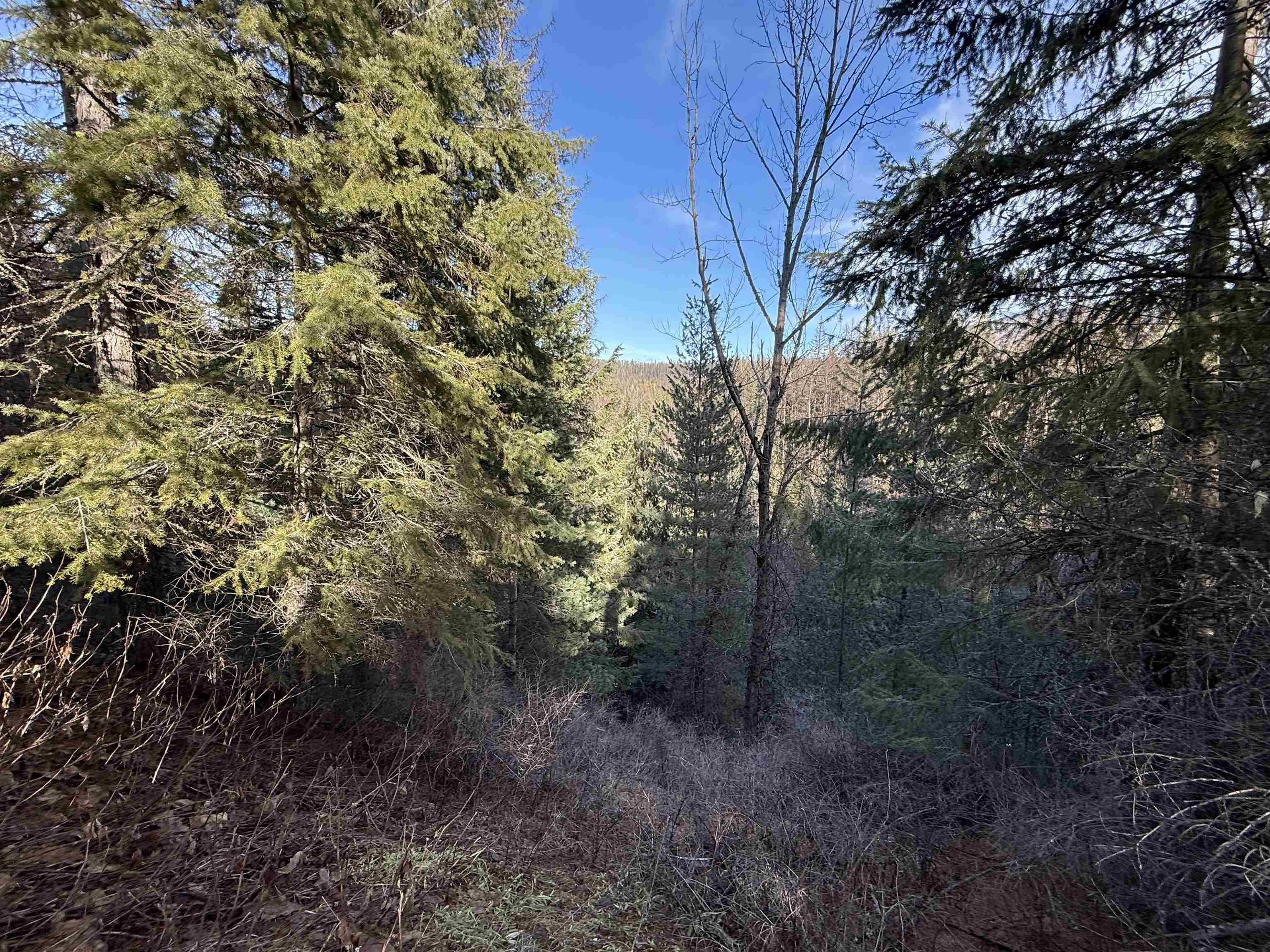 3832 Deep Lake Boundary Rd - Photo 30