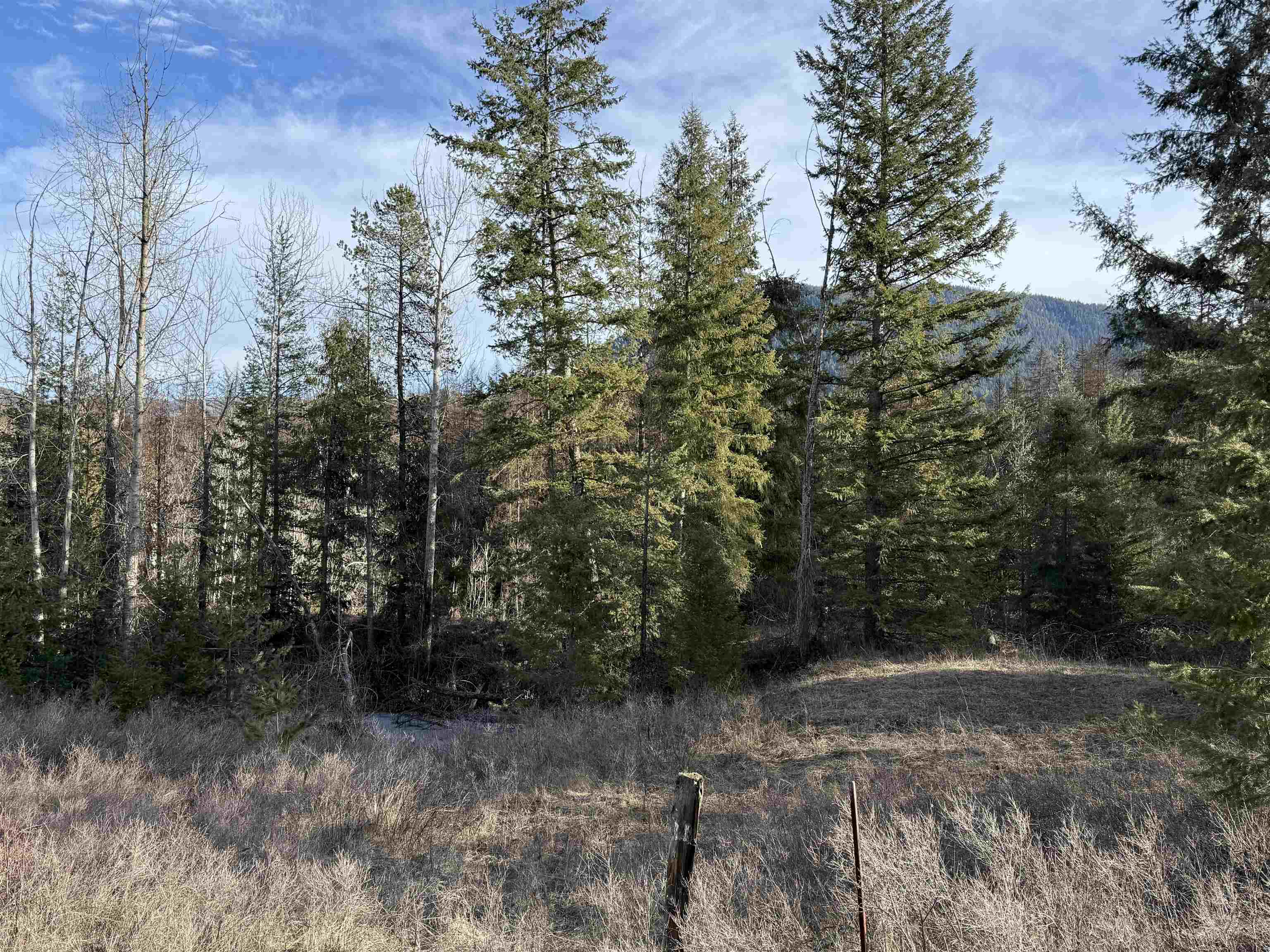 3832 Deep Lake Boundary Rd - Photo 31