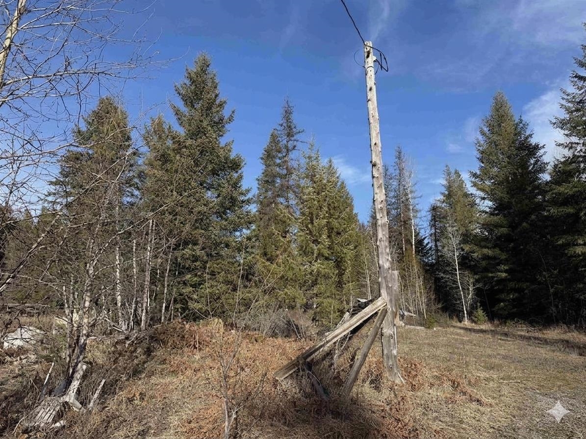 3832 Deep Lake Boundary Rd - Photo 32