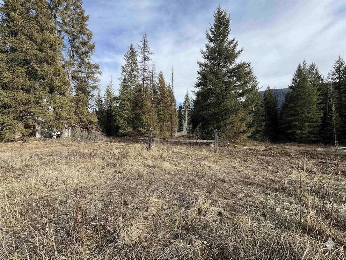 3832 Deep Lake Boundary Rd - Photo 33