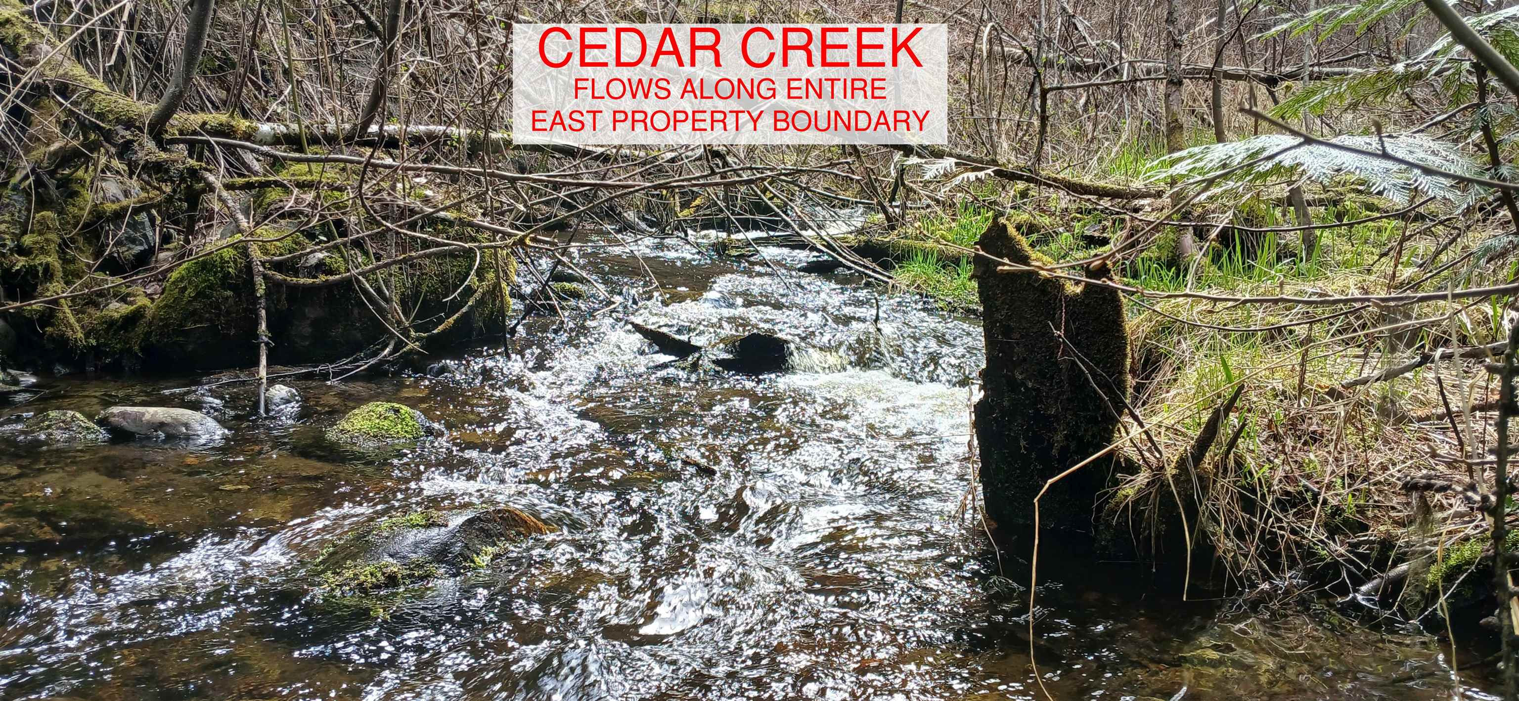 3832 Deep Lake Boundary Rd - Photo 5
