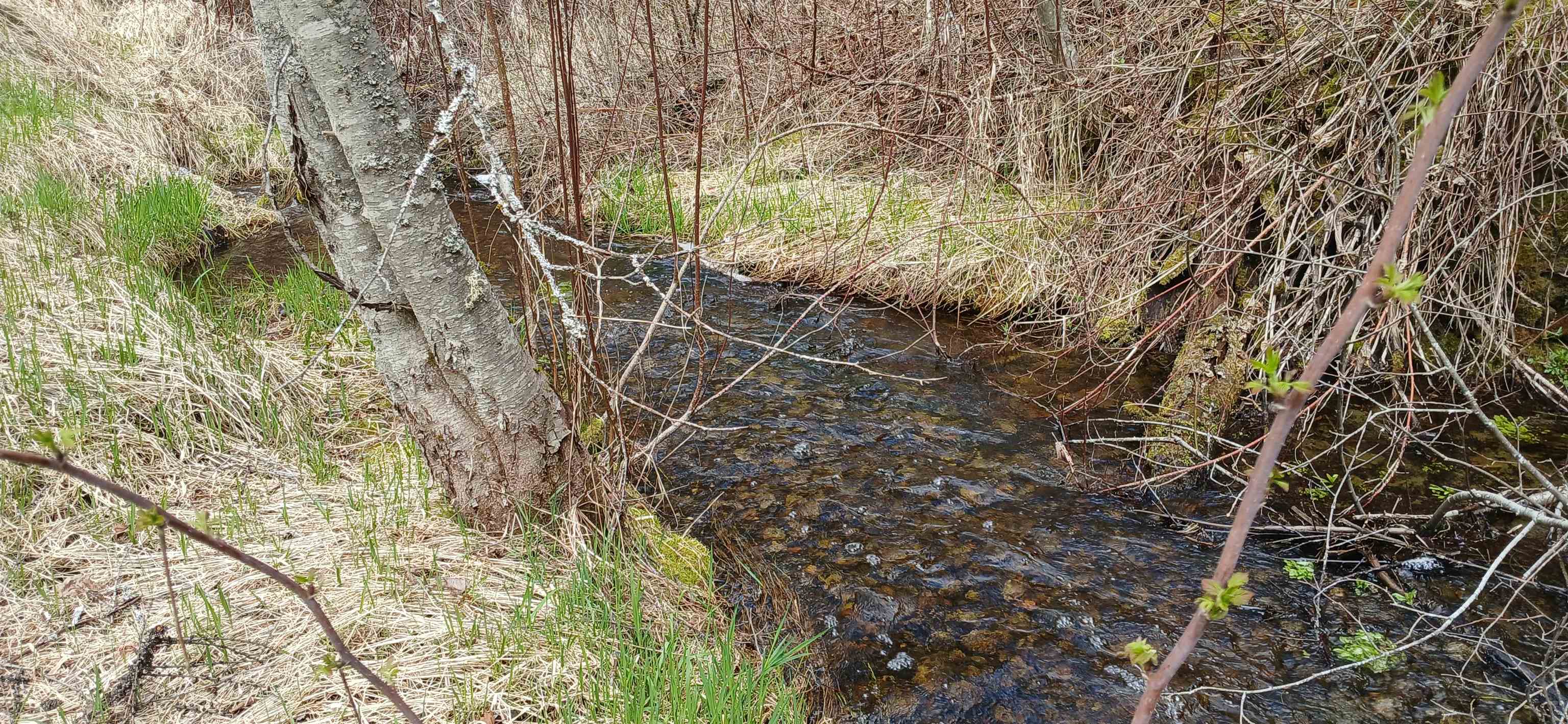 3832 Deep Lake Boundary Rd - Photo 6