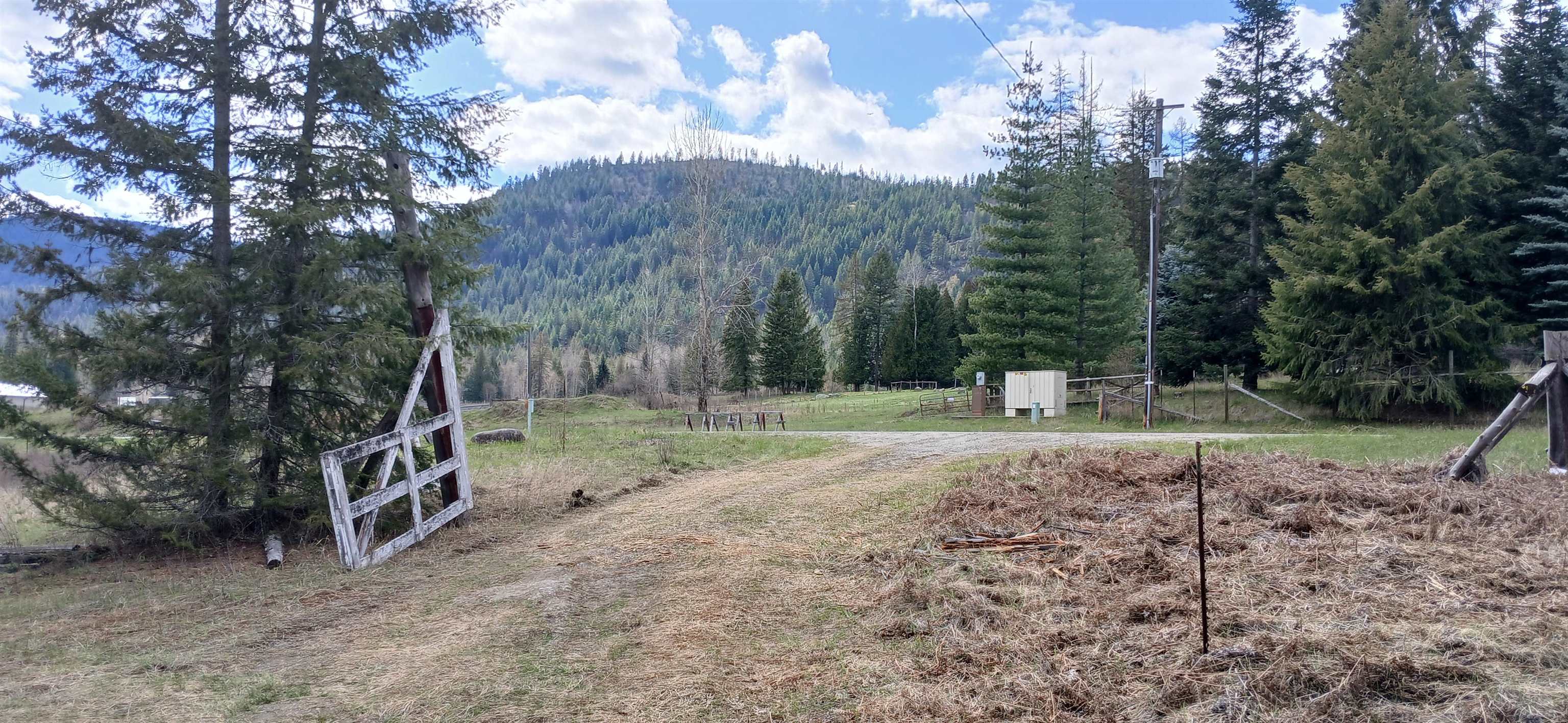 3832 Deep Lake Boundary Rd - Photo 8