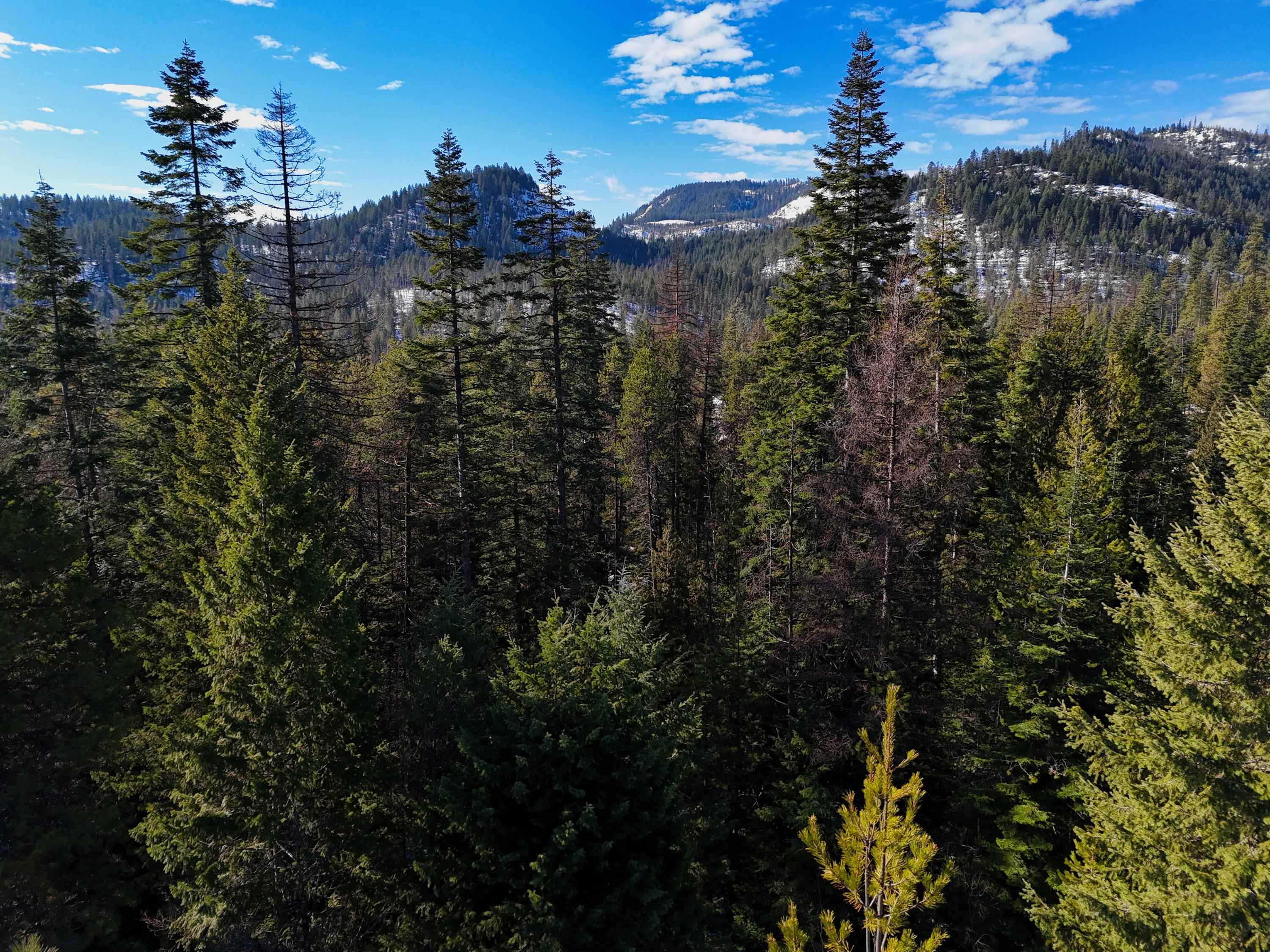 35xx Mountain View Rd - Photo 12