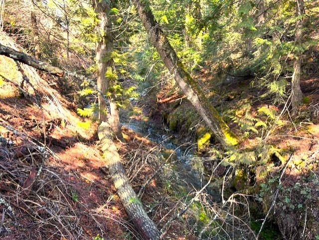 35xx Mountain View Rd - Photo 14