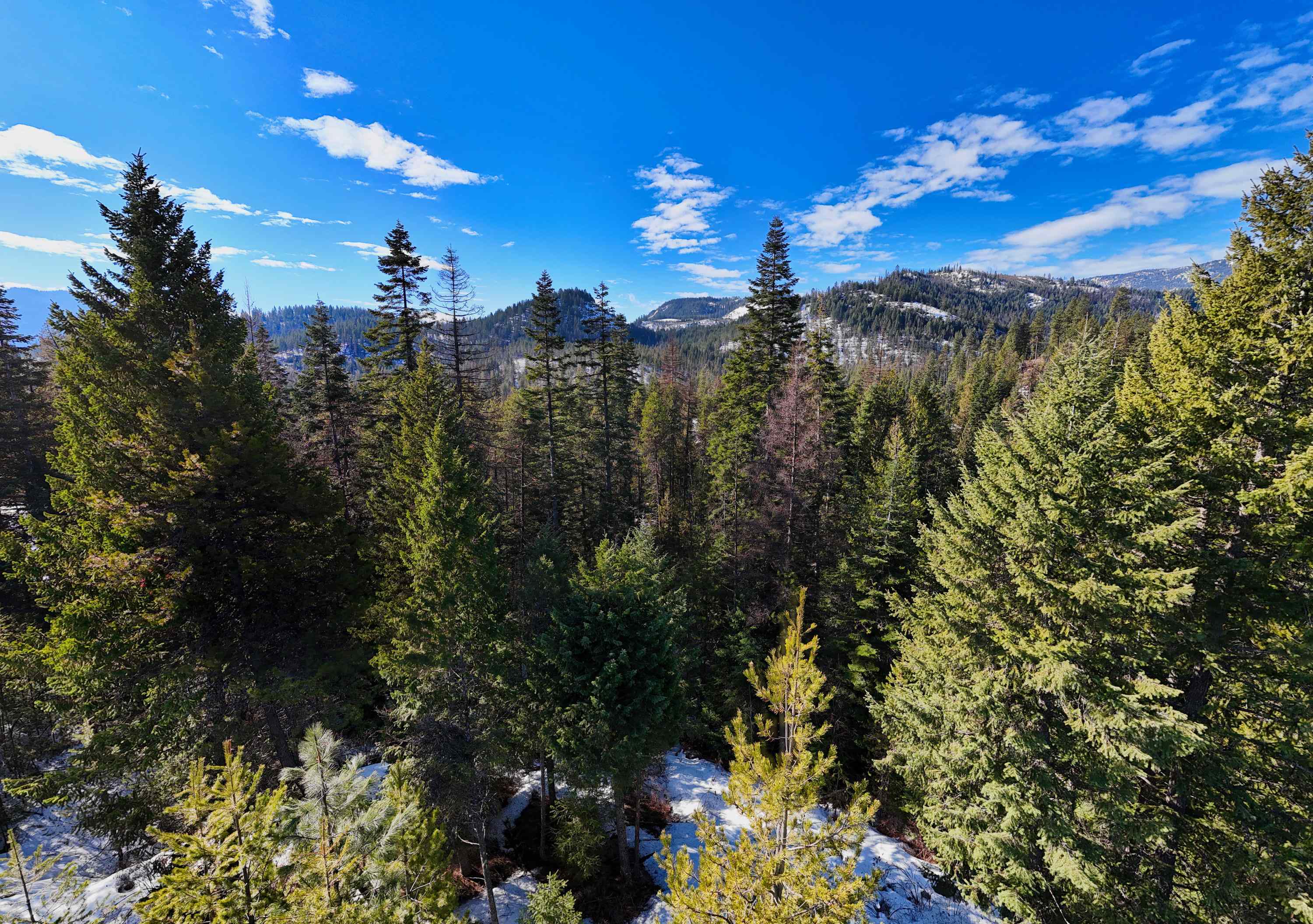 35xx Mountain View Rd - Photo 19