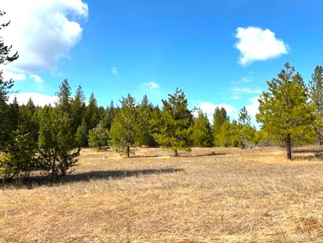 35xx Mountain View Rd - Photo 8