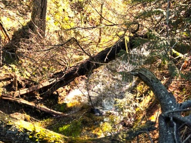 35xx Mountain View Rd - Photo 10