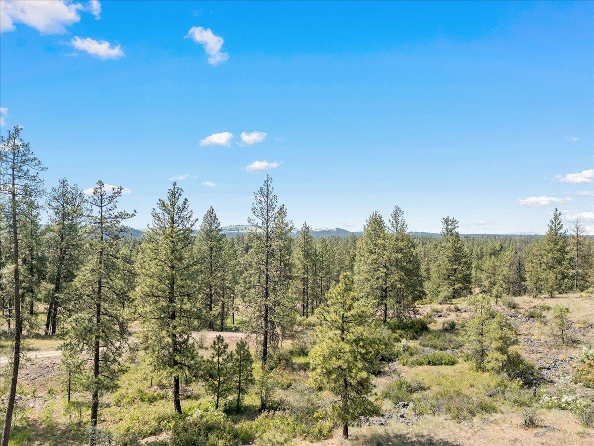 5339 W Anderson Rd - Photo 1