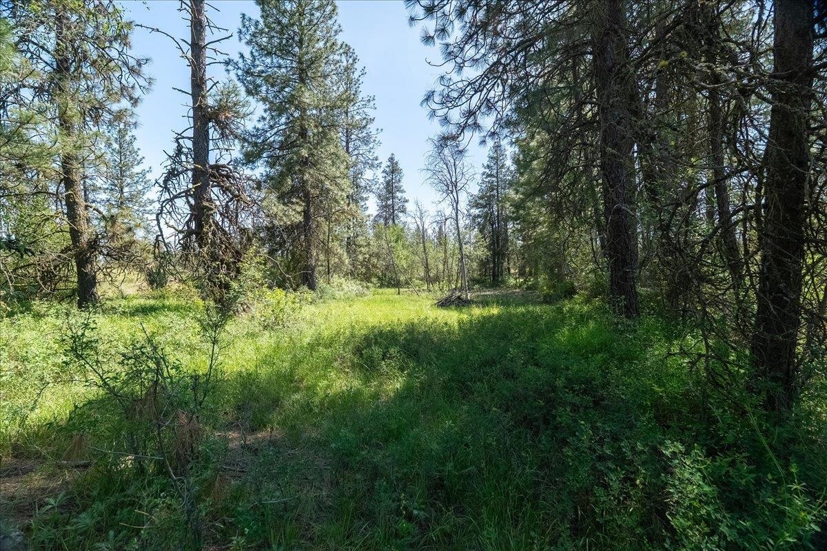 5339 W Anderson Rd - Photo 11