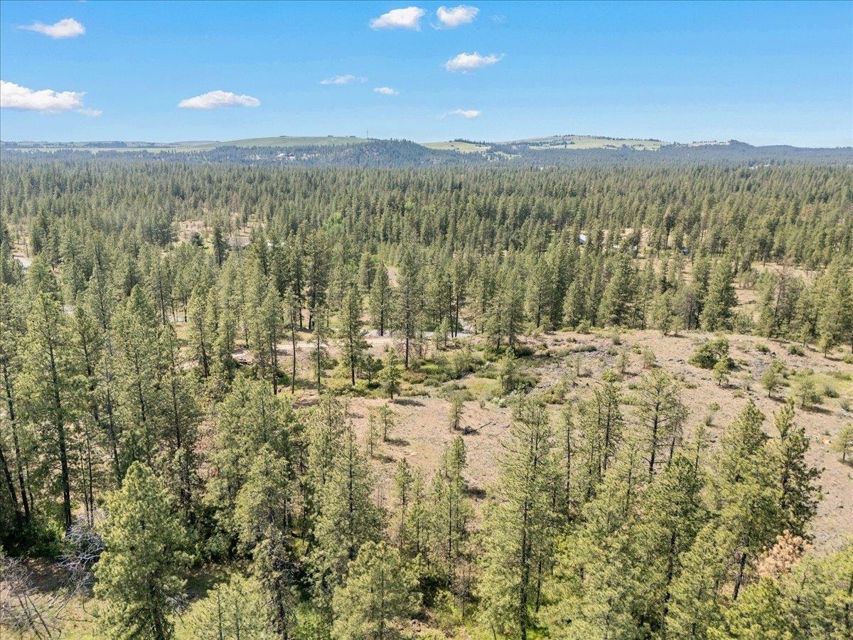 5339 W Anderson Rd - Photo 12
