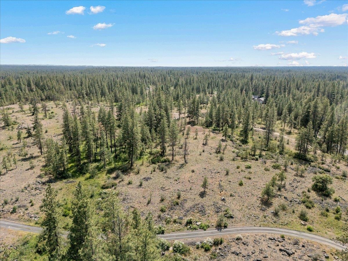 5339 W Anderson Rd - Photo 13