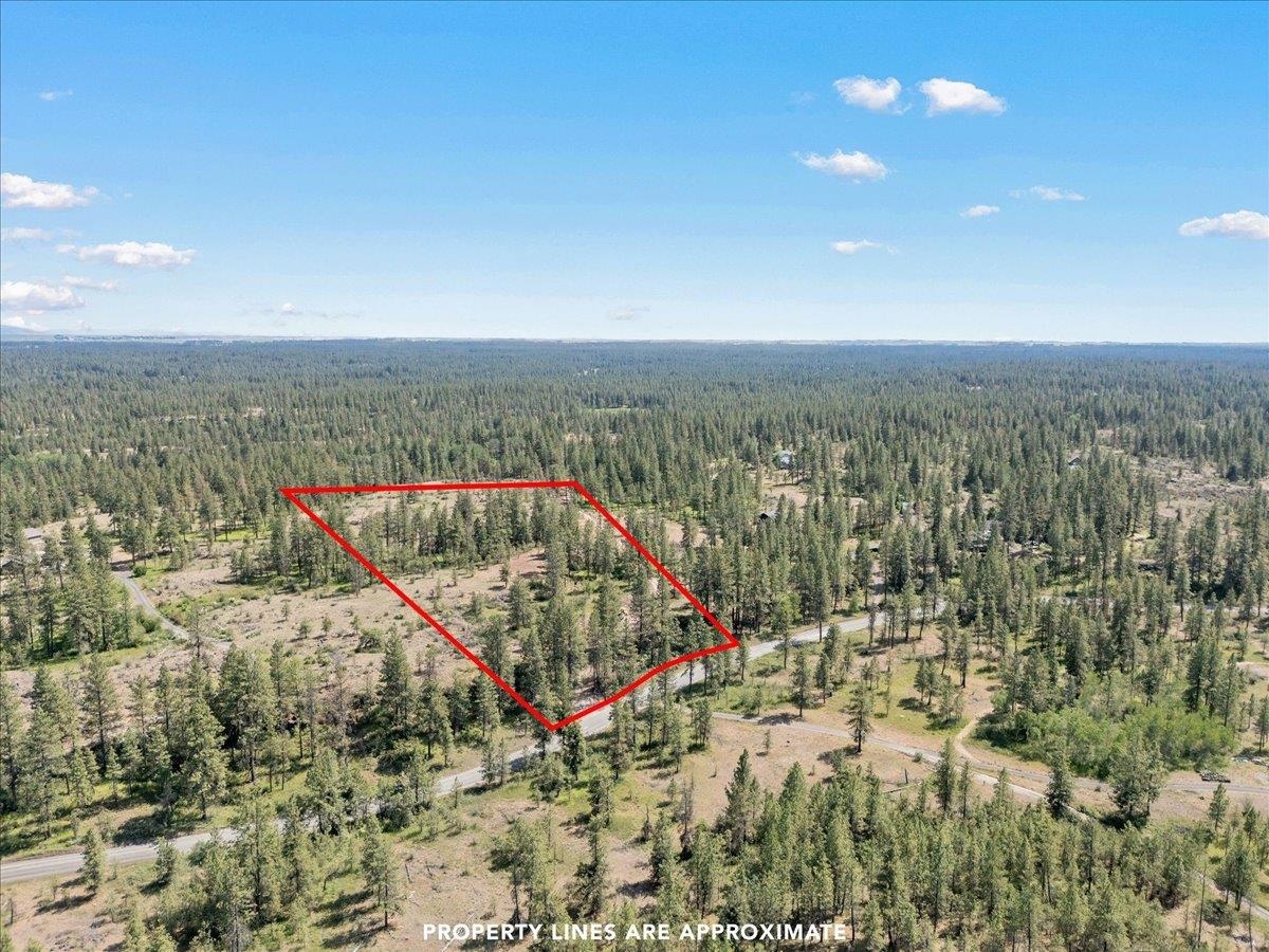 5339 W Anderson Rd - Photo 15