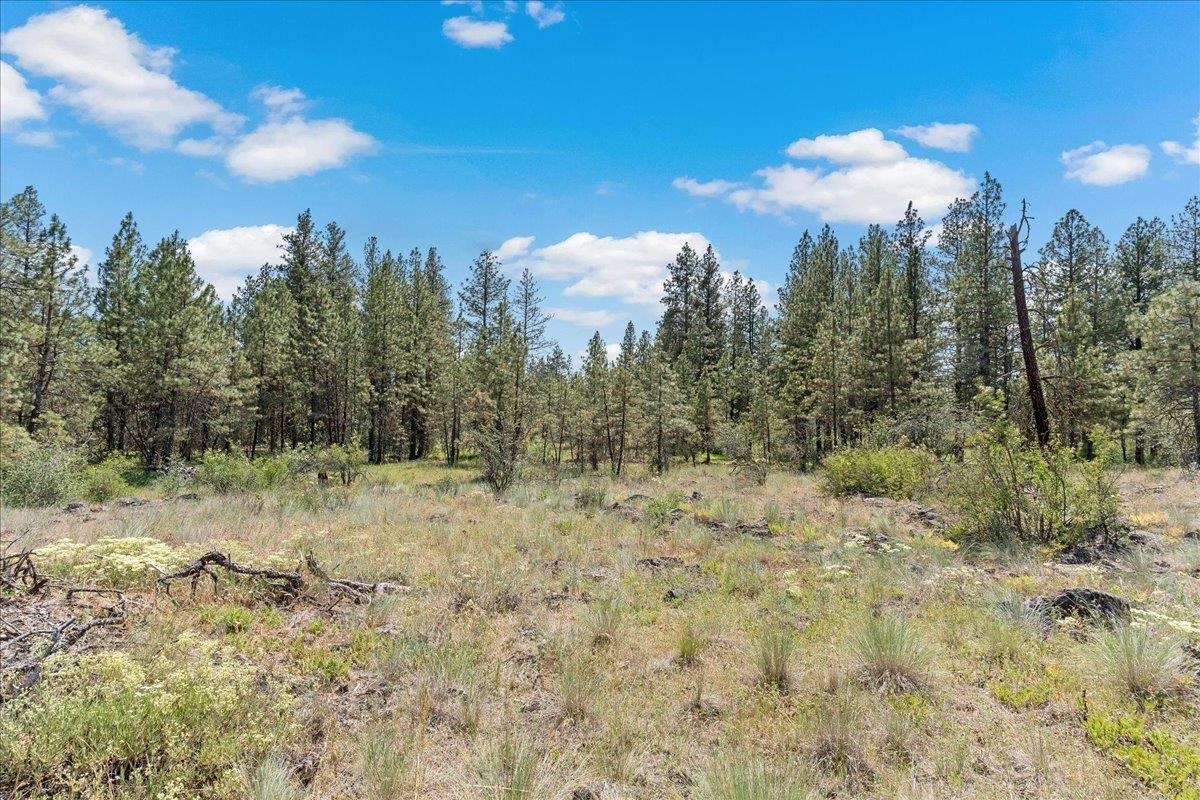 5339 W Anderson Rd - Photo 19