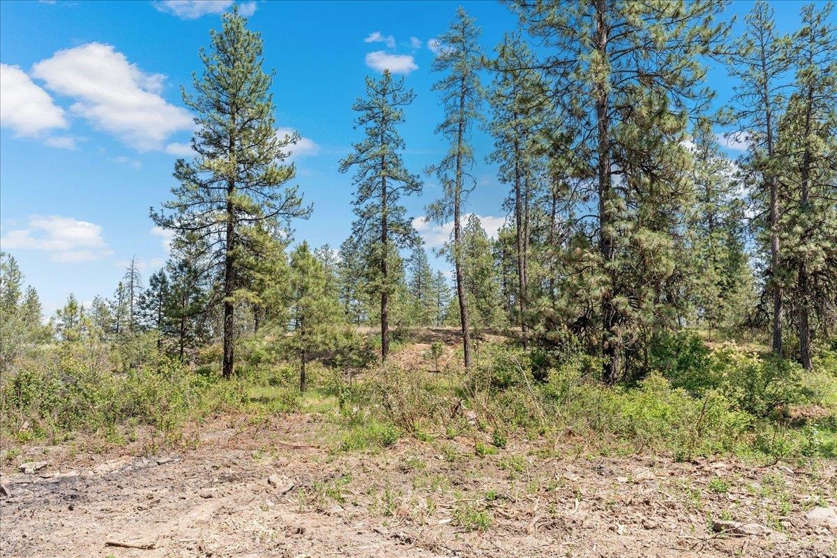 5339 W Anderson Rd - Photo 4
