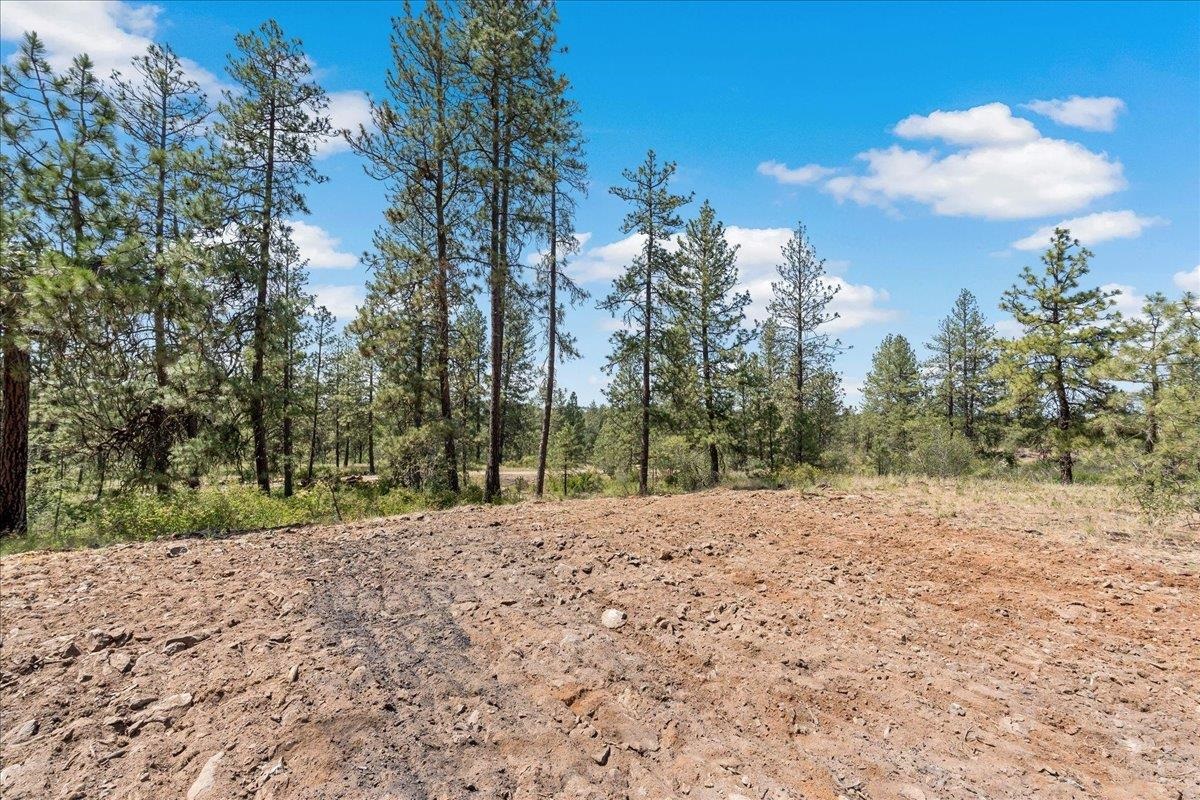 5339 W Anderson Rd - Photo 6